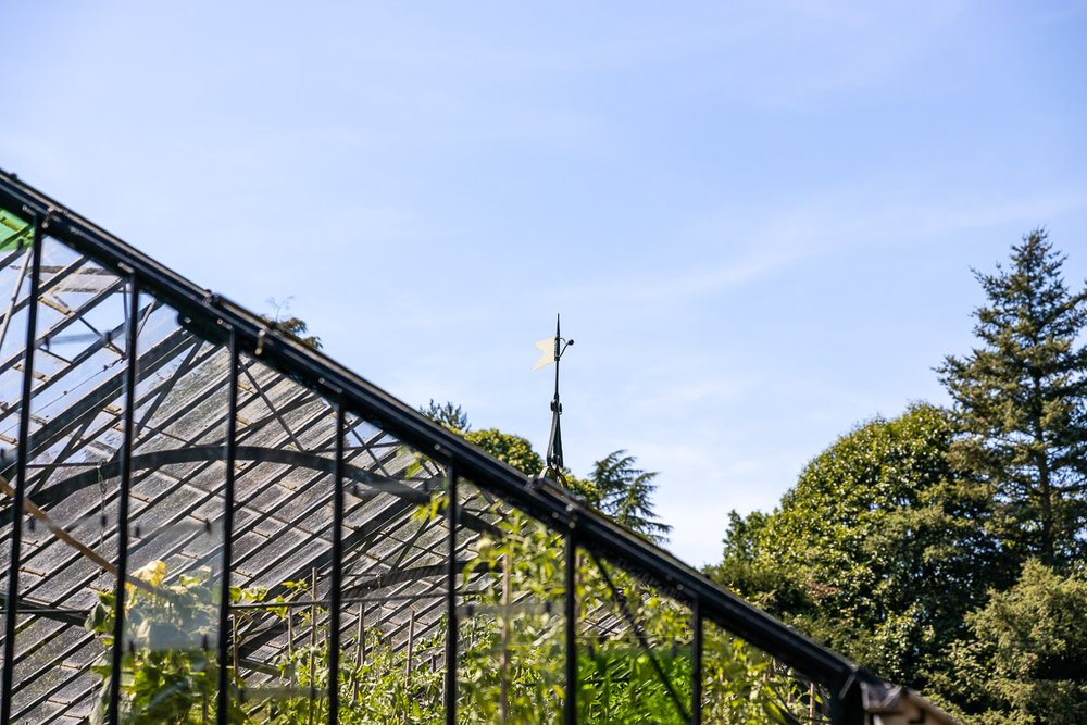 Bruiloft Trouwen Kasteel Geldrop Brabant Fotograaf Blog Sven Langeberg Huwelijk Inspiratie  (17 van 60).jpg