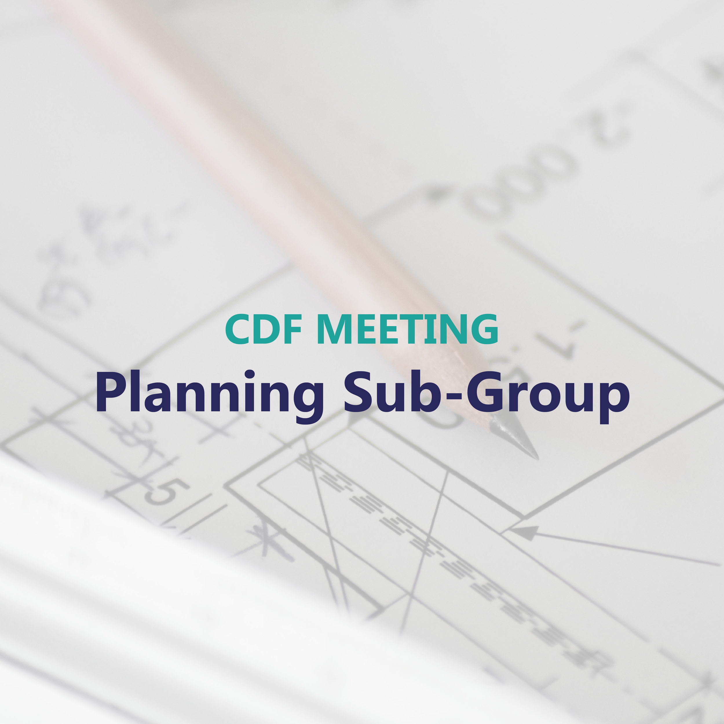 CDF Planning Sub-group on Government’s recent White Paper