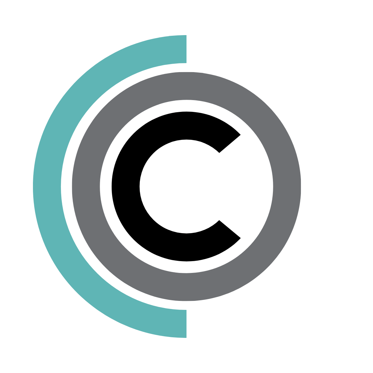 Immigration Compliance