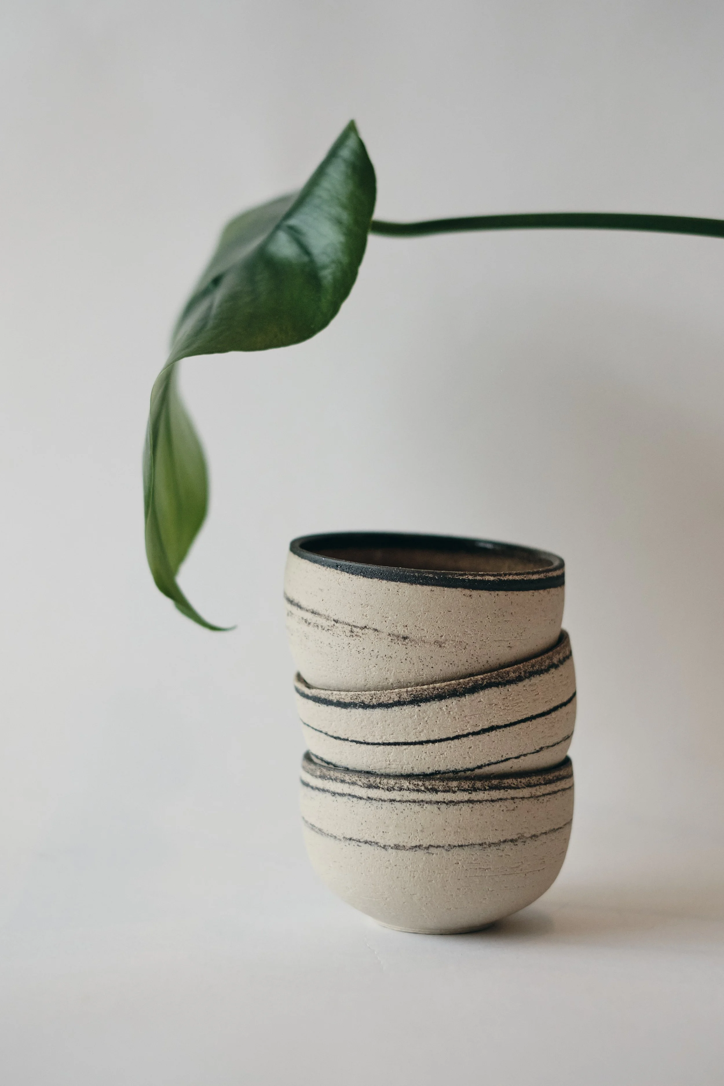 file STUDIO ROKA - CLASSIC CAPPUCCINO SWIRL CUP 12.jpg