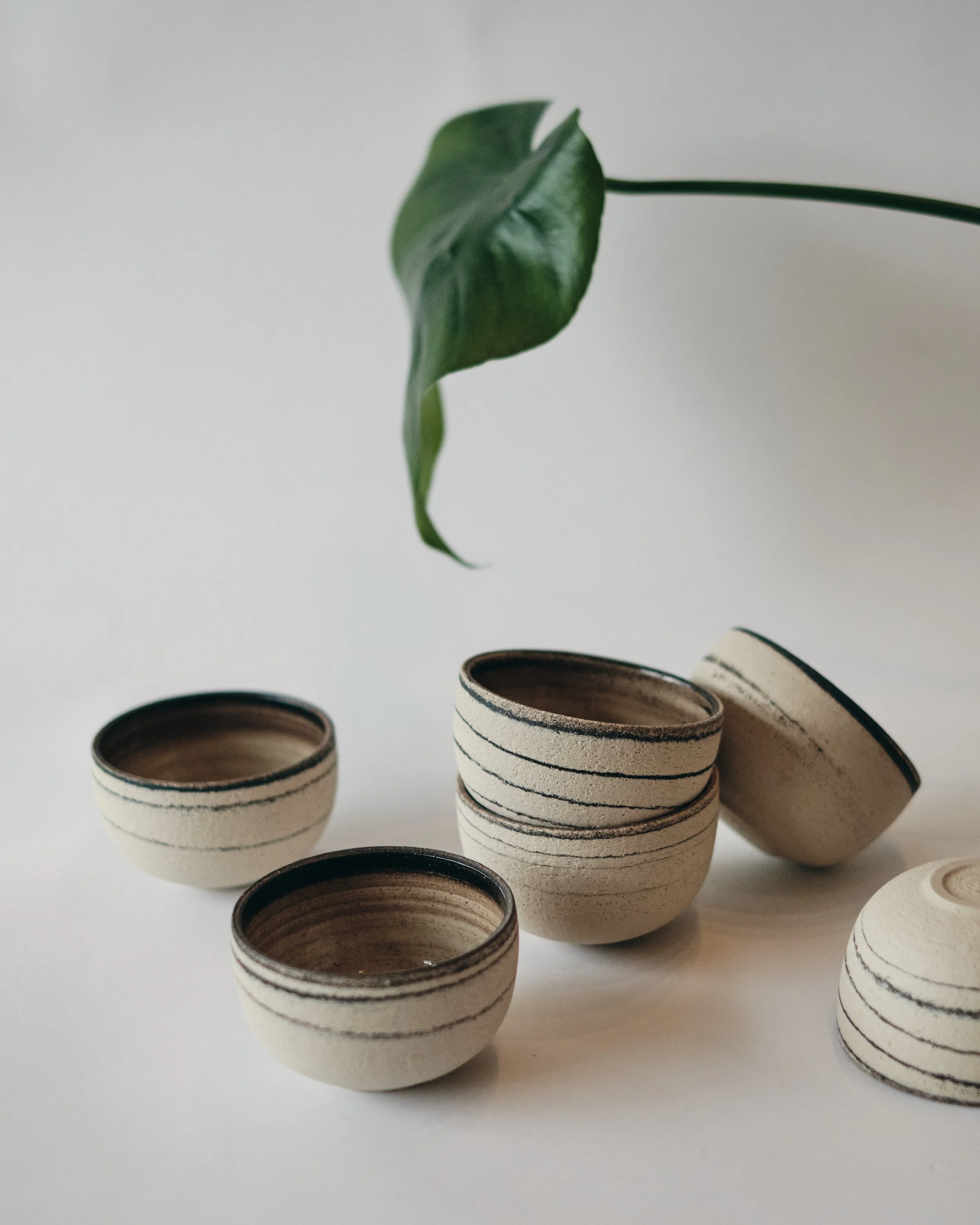file STUDIO ROKA - CLASSIC CAPPUCCINO SWIRL CUP 2.jpg