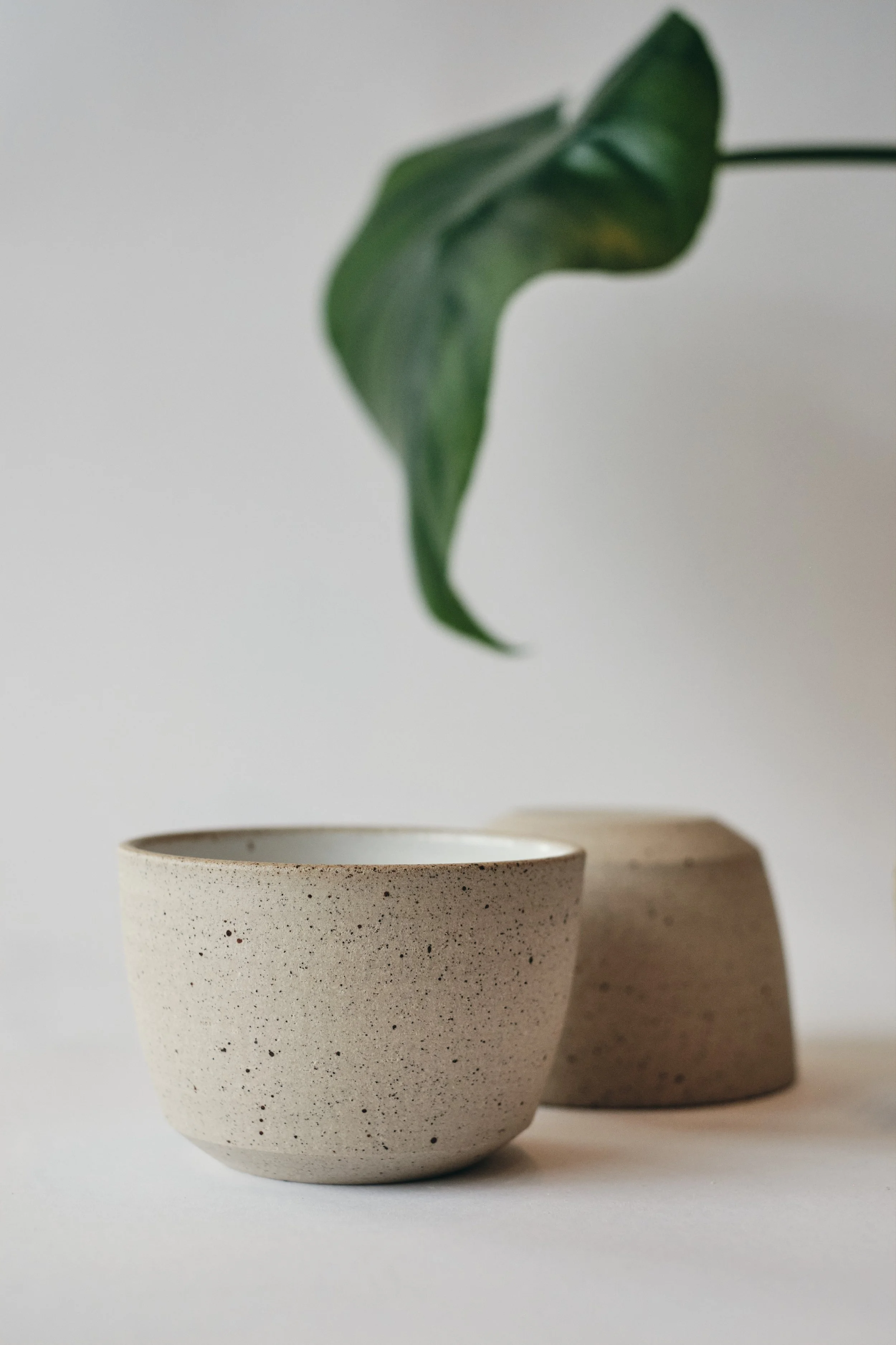 file STUDIO ROKA  - CLASSIC CAPPUCCINO CUP 2.jpg