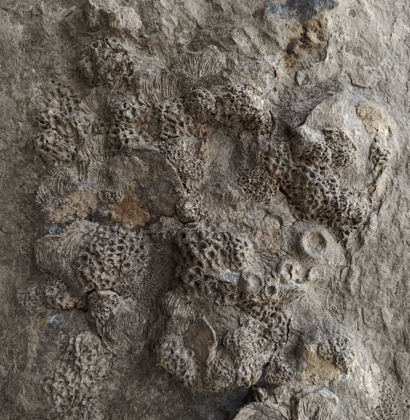 UNU PAPEL x STUDIO ROKA PAPER PULP WORKSHOP ZUERICH - HANDBUILDING CLASS