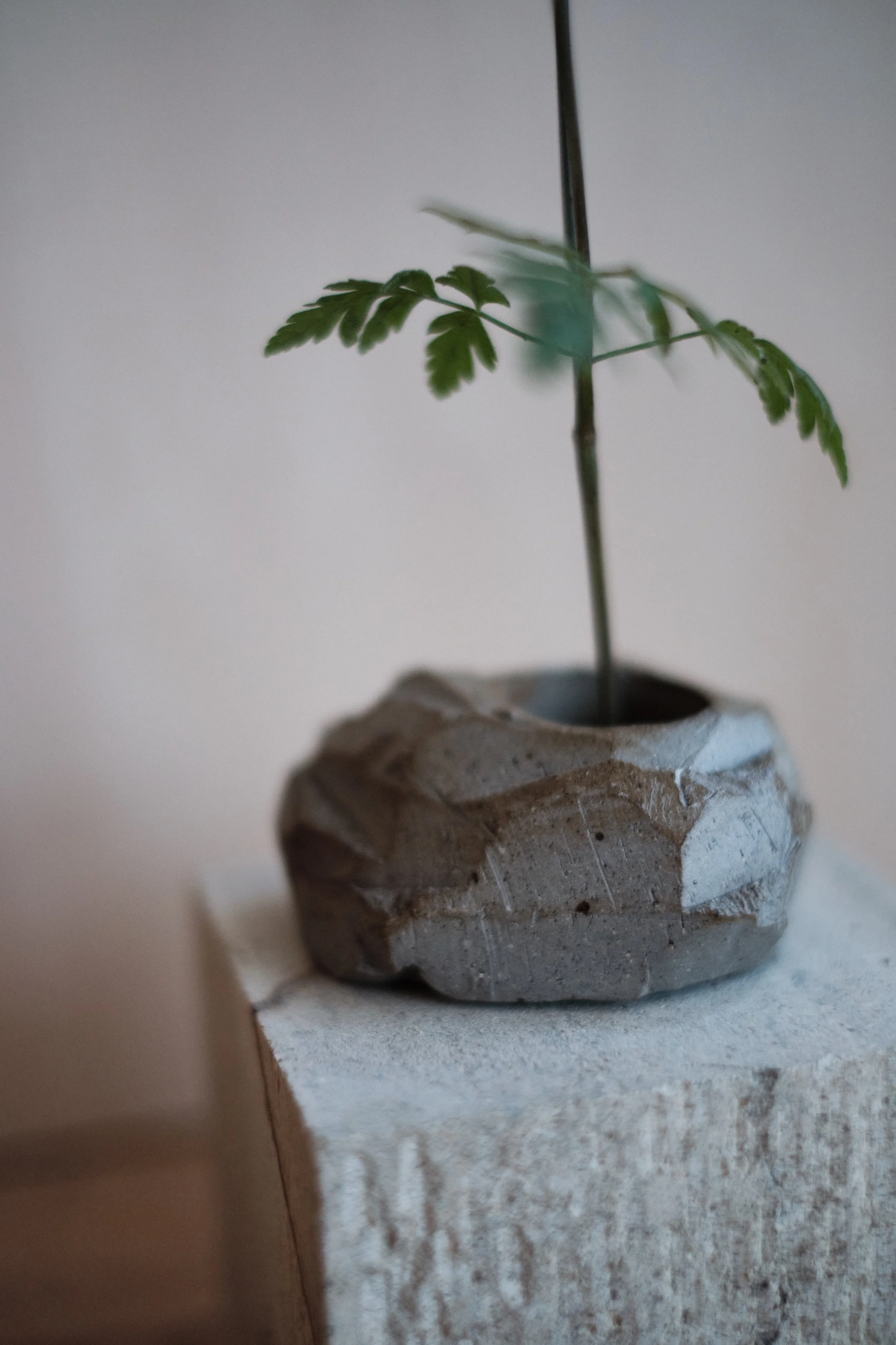 file STUDIO ROKA - ikebana stones handmade ceramics 6.jpg