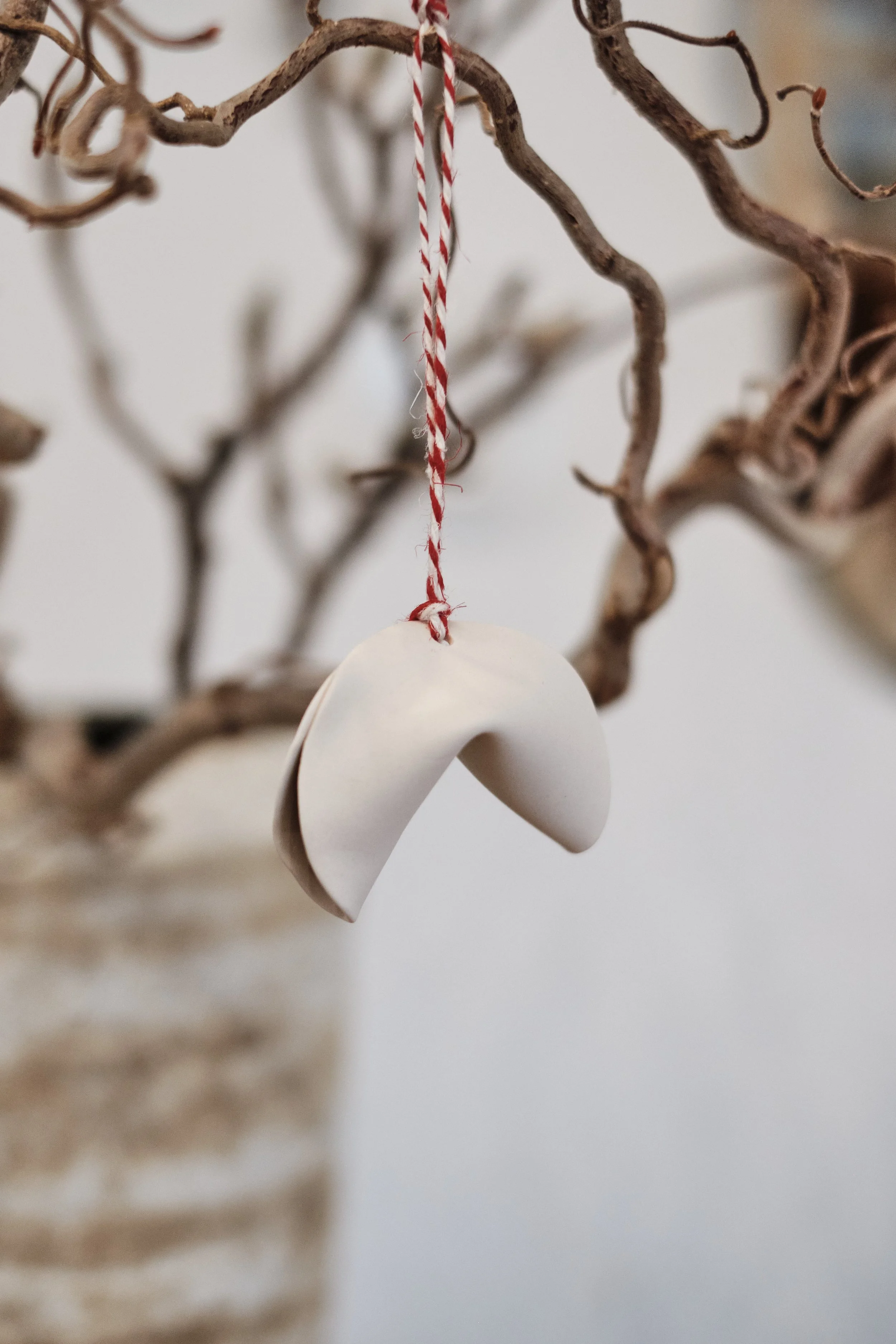 file STUDIO ROKA  - FORTUNE COOKIE AND ORNAMENTs 1.jpg