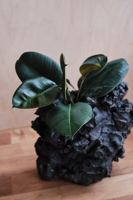 file STUDIO ROKA - organic vulcanic eruption sculpture 6.jpg