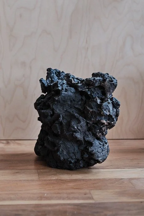 file STUDIO ROKA - organic vulcanic eruption sculpture 3.jpg