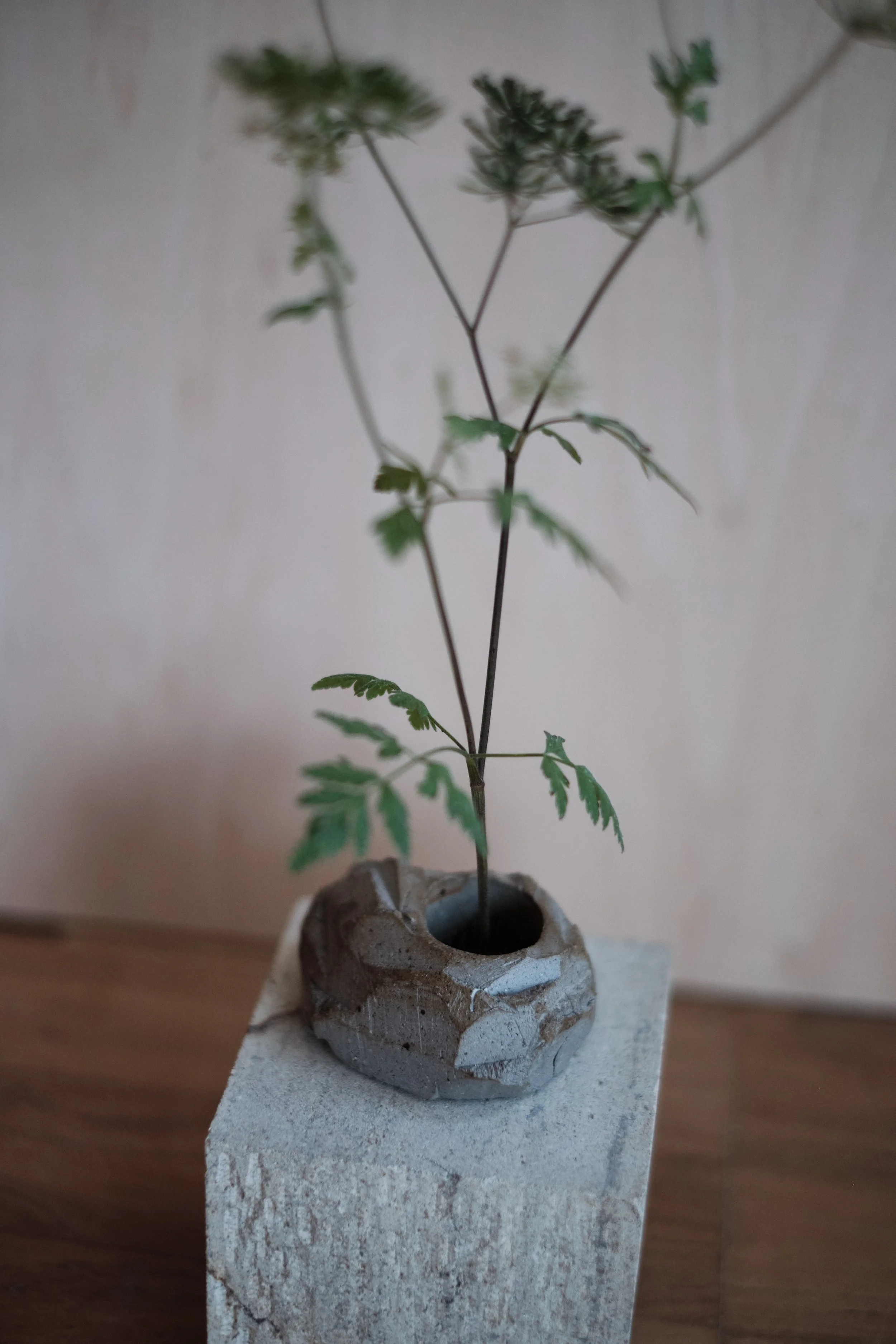 file STUDIO ROKA - ikebana stones handmade ceramics 7.jpg