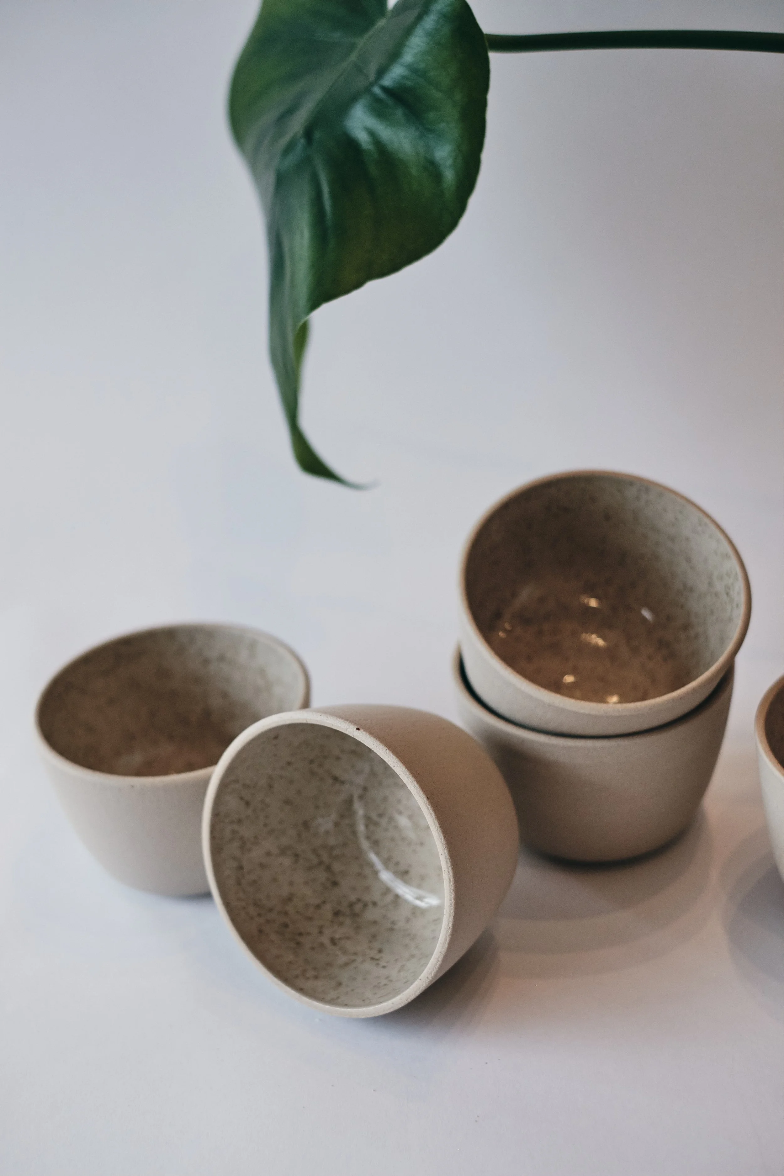 file STUDIO ROKA - CLASSIC CAPPUCCINO SPECKLES CUP 3.jpg