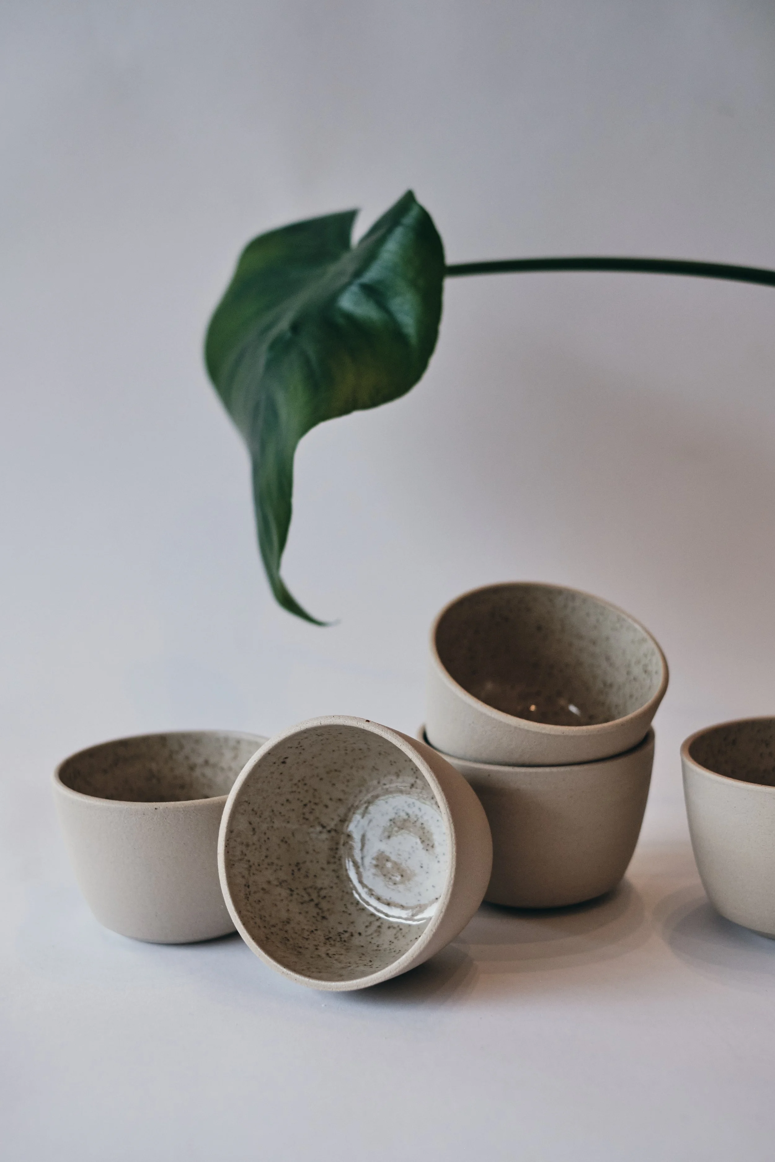 file STUDIO ROKA - CLASSIC CAPPUCCINO SPECKLES CUP 2.jpg