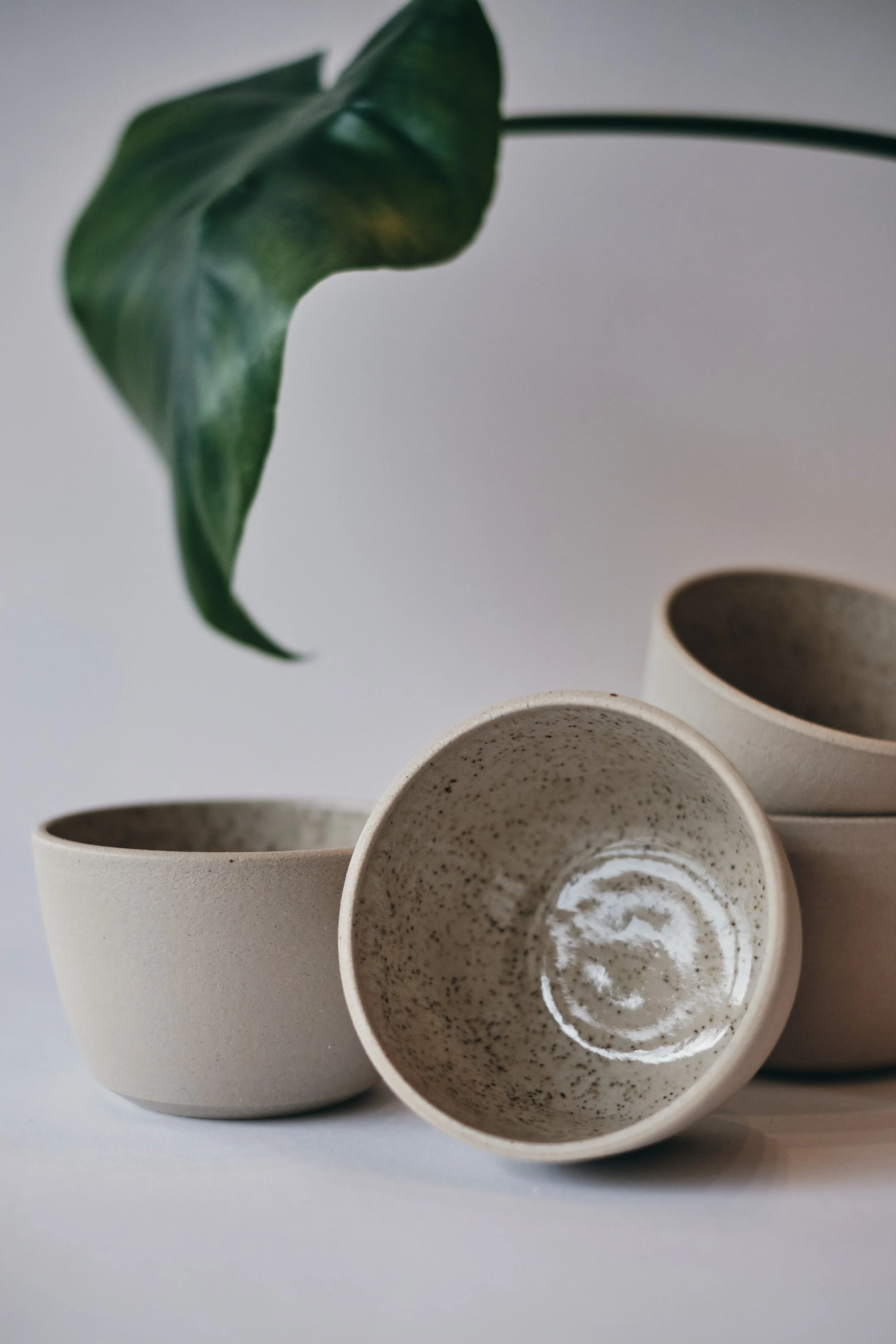 file STUDIO ROKA - CLASSIC CAPPUCCINO SPECKLES CUP 6.jpg