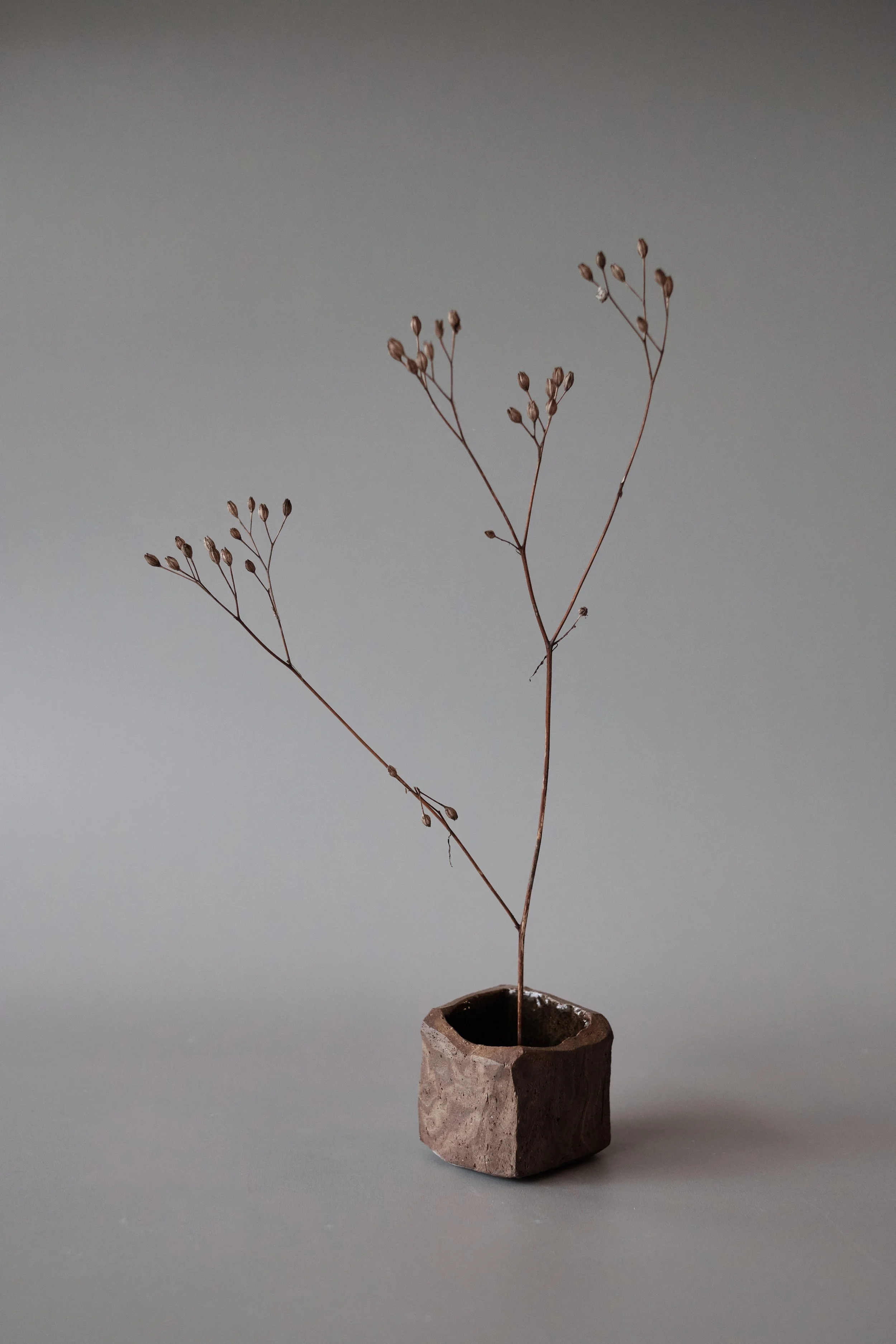 file STUDIO ROKA  - IKEBANA.jpg