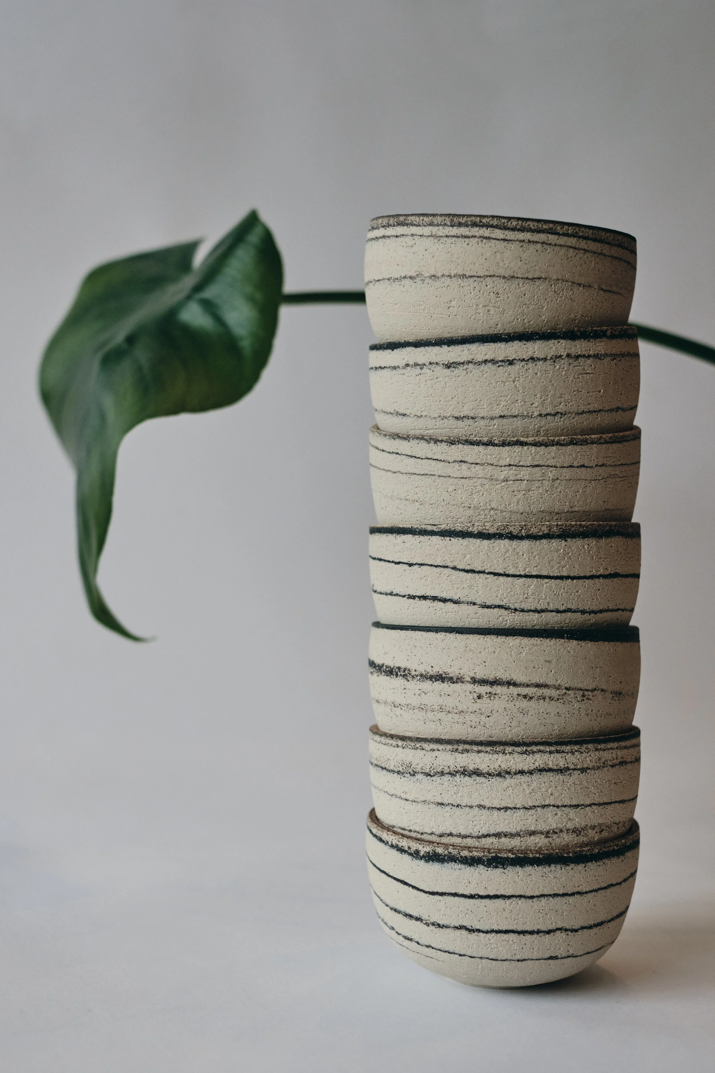 file STUDIO ROKA - CLASSIC CAPPUCCINO SWIRL CUP 17.jpg