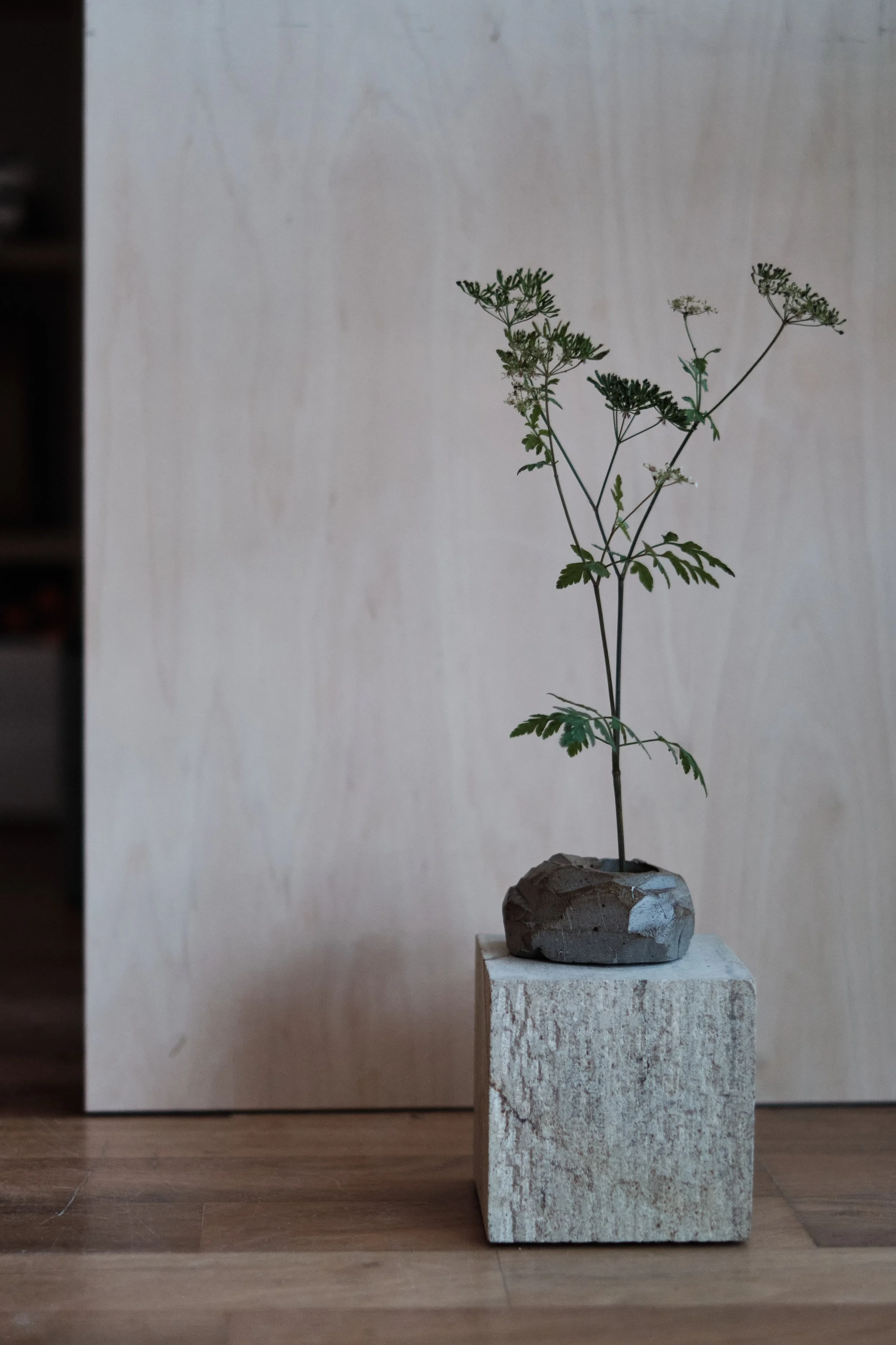 file STUDIO ROKA - ikebana stones handmade ceramics 5.jpg