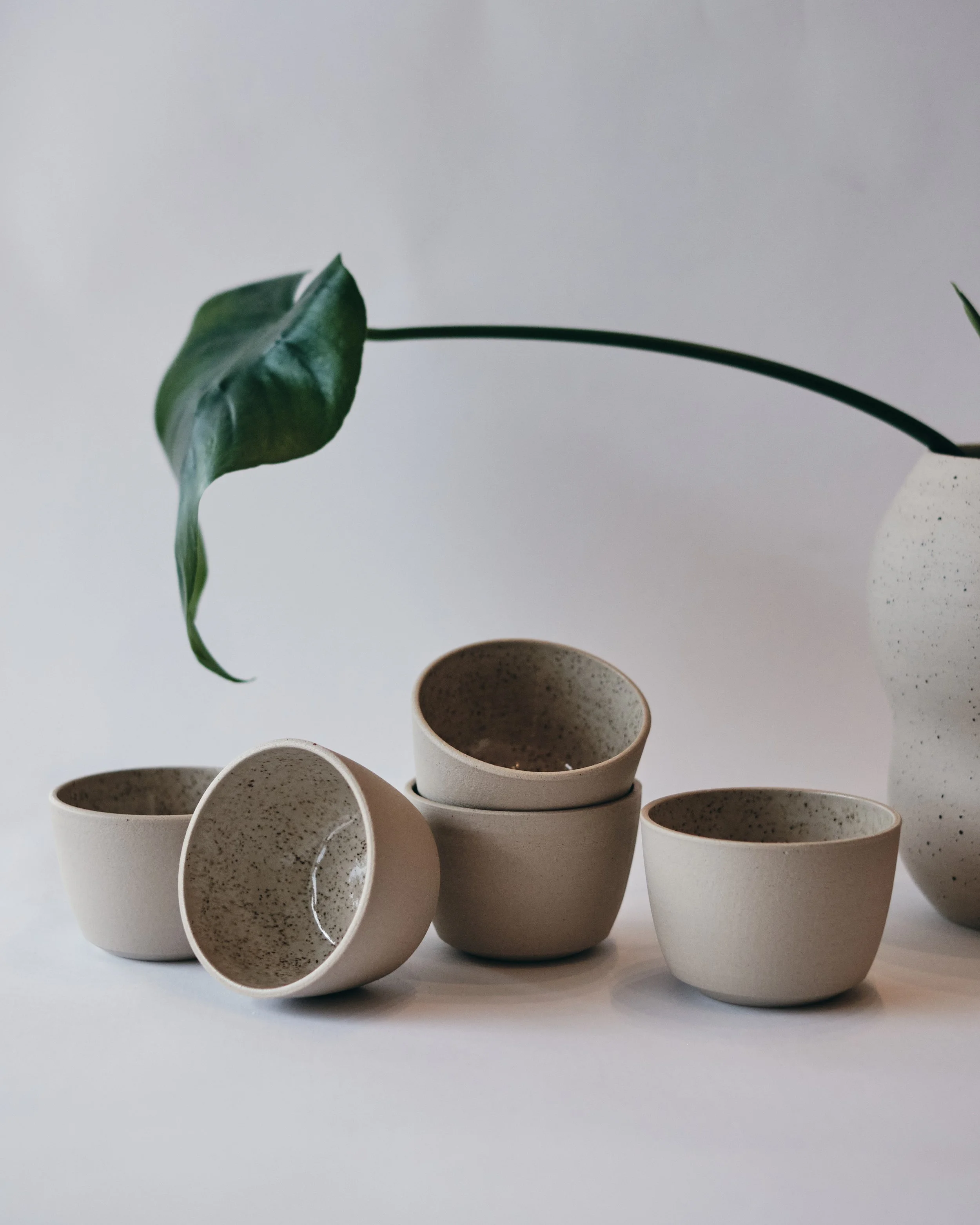 file STUDIO ROKA - CLASSIC CAPPUCCINO SPECKLES CUP 5.jpg