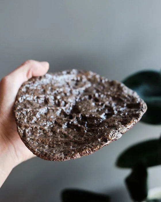 file STUDIO ROKA - rorganic dark brown plate 1.jpg