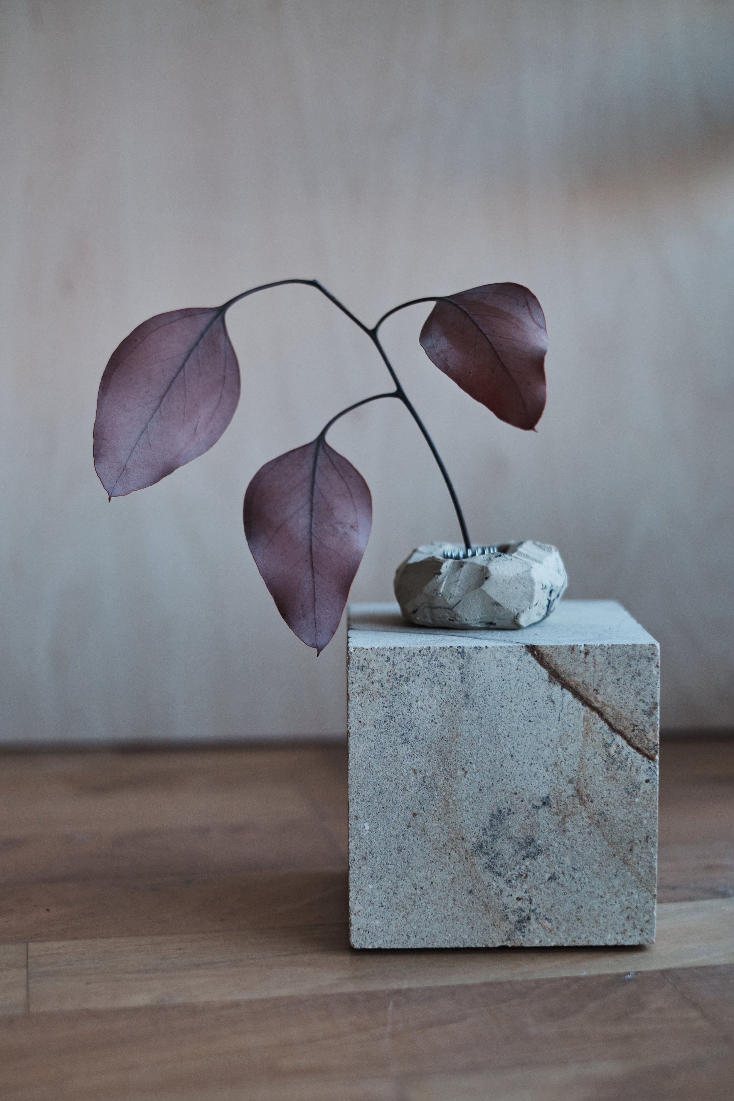 file STUDIO ROKA - handmade ceramics Zürich-ikebana, interior design 4.jpg