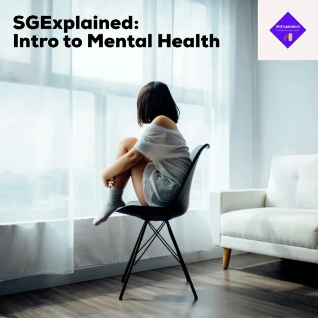 INTRO TO MENTAL HEALTH