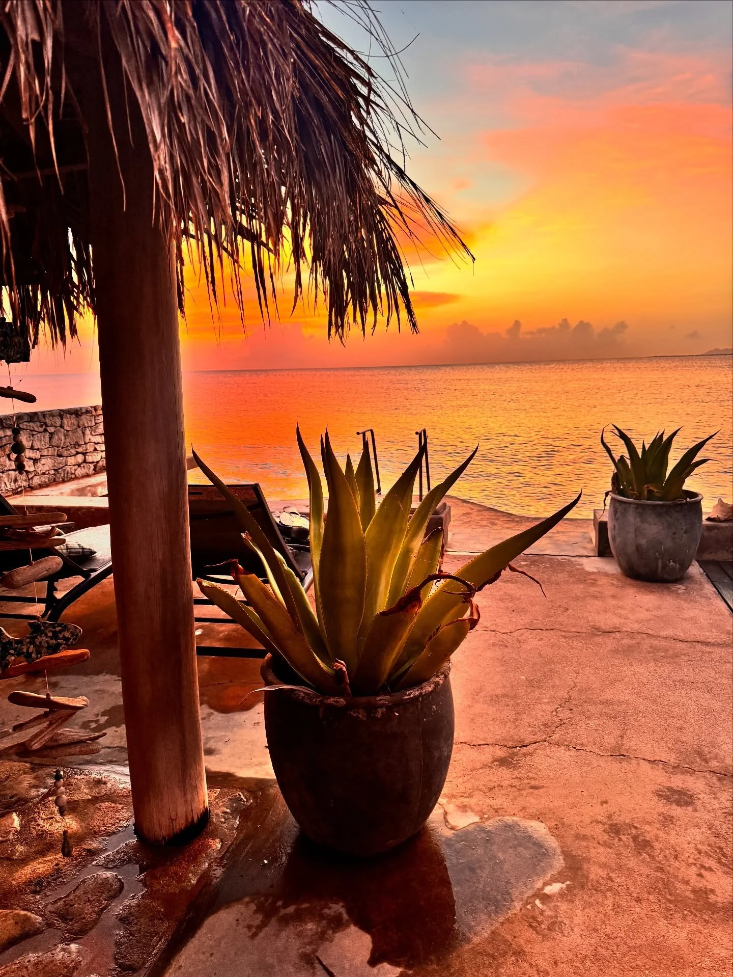 Wegmijmeren &hellip;. Deze foto heeft geen filter! Dit is wat het is. Hoe mooi al die warme kleuren. Wat een prachtige zonsondergang 🔆. 

Jullie weten inmiddels wel dat Bonaire als een tweede huis voelt. Ik heb wat tips in een ebookje gezet. Als je 