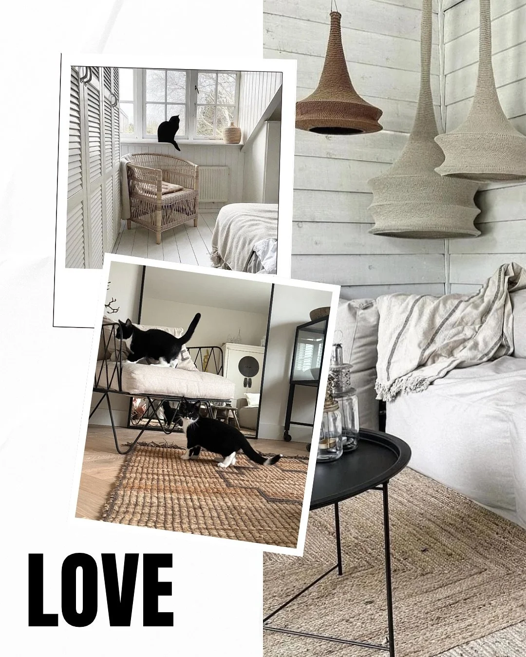 Okeeee&hellip; stop even met scrollen. Want kijk dan naar deze twee mini snoepjes 🖤🤍 🐾 
De nieuwe kittens van @ingridvanderzalm84 zijn gearriveerd en ja hoor&hellip; ze zijn zwart-wit, helemaal in stijl &eacute;n ze smelten je hart in &eacute;&eac