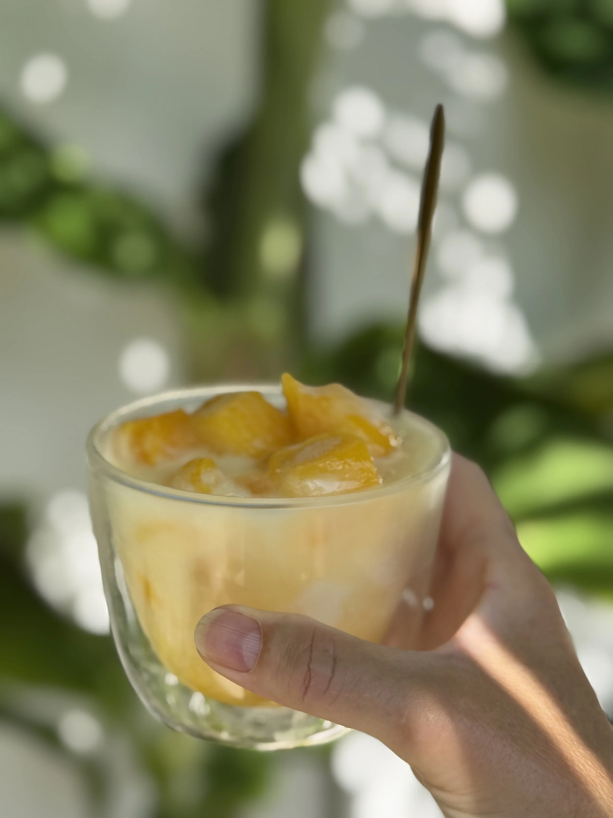 TikTok Viraal: de Mango Coconut Refresher🥭