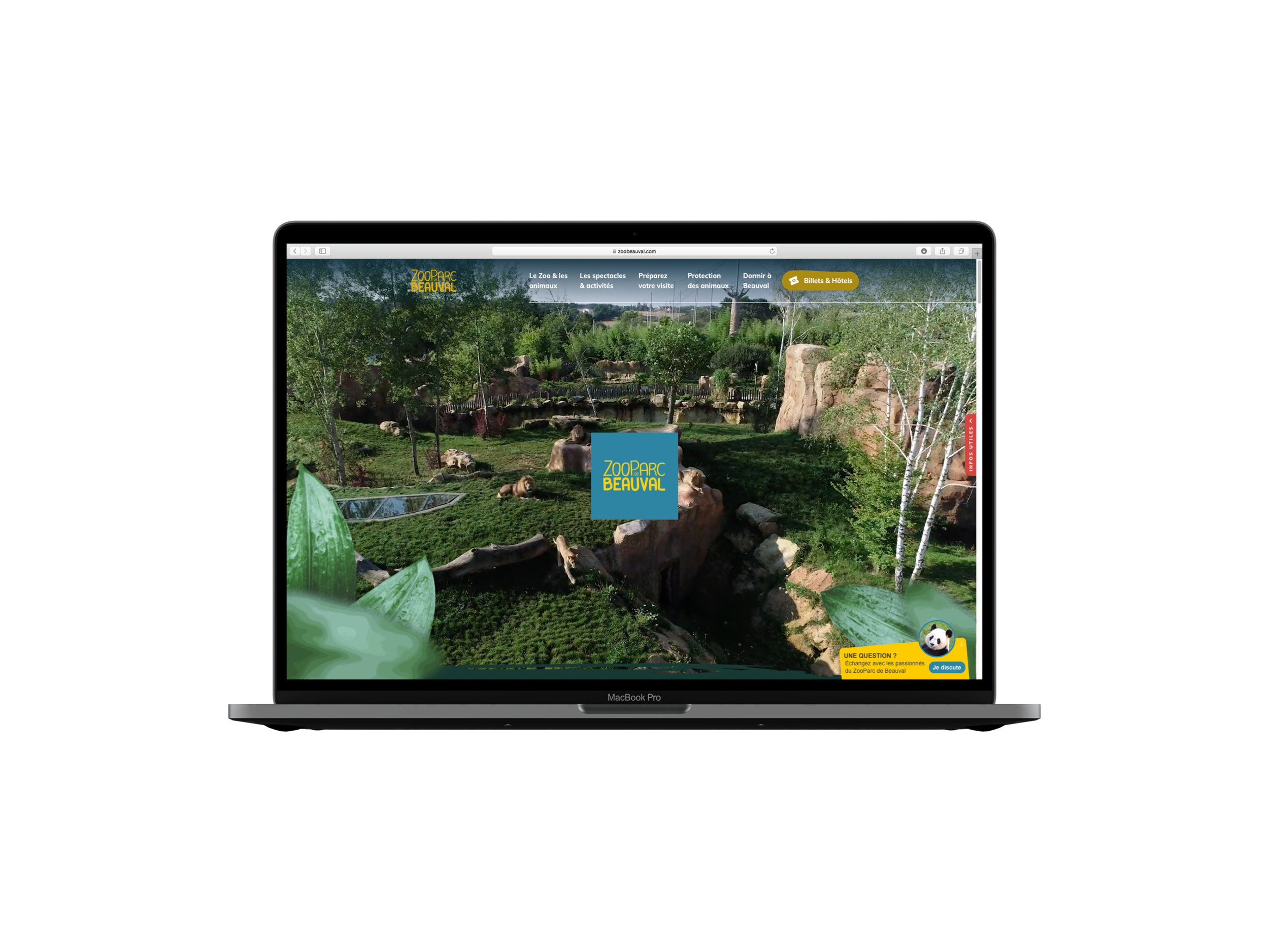 laptop.png