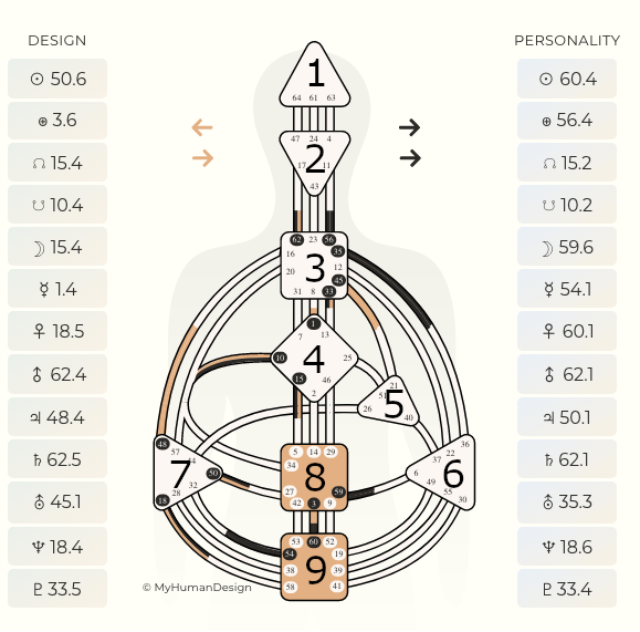 What is Human Design? — Life Forces Incorporated