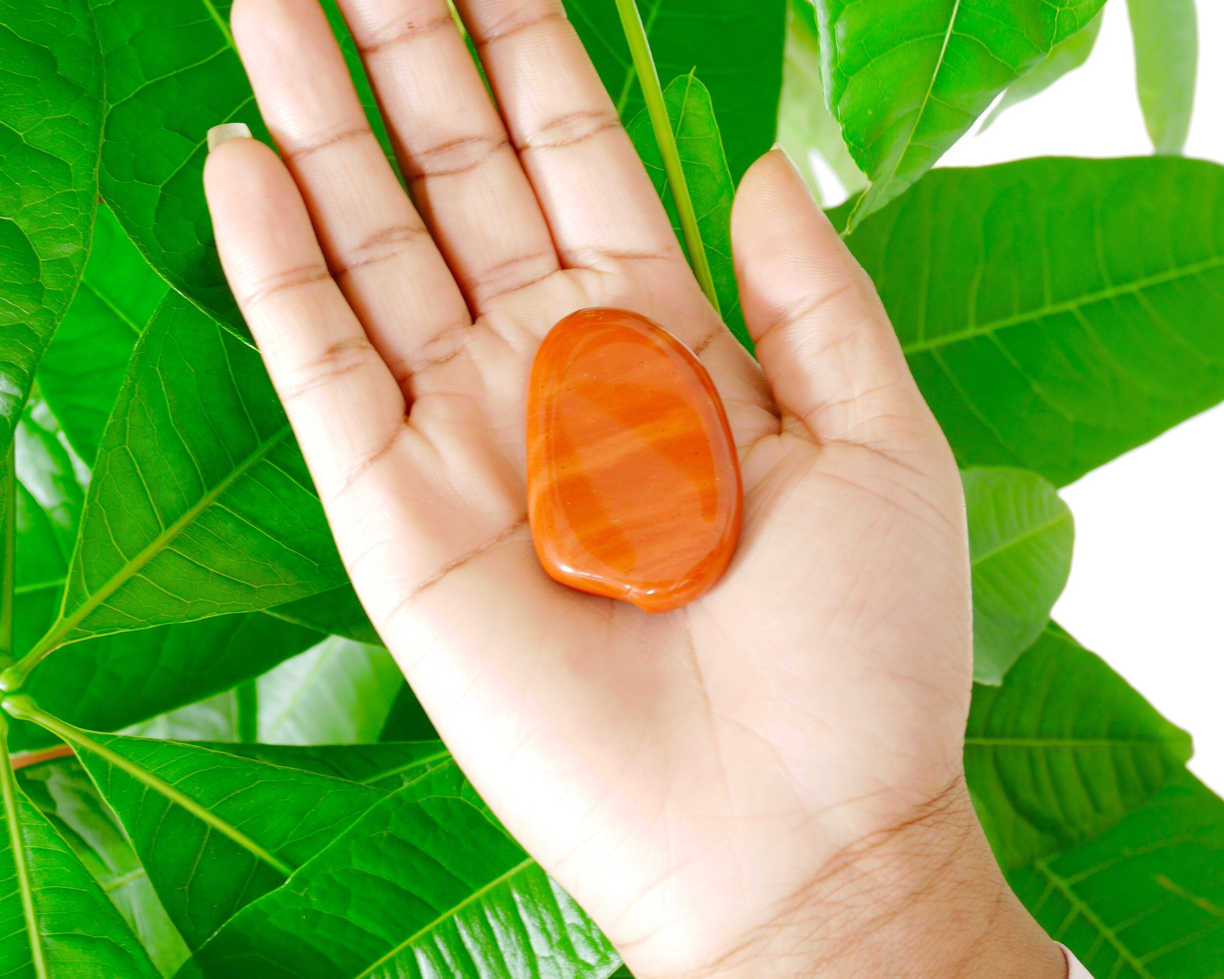 Jaspe rouge Vertus, propriétés et bienfaits — Le Palissandre