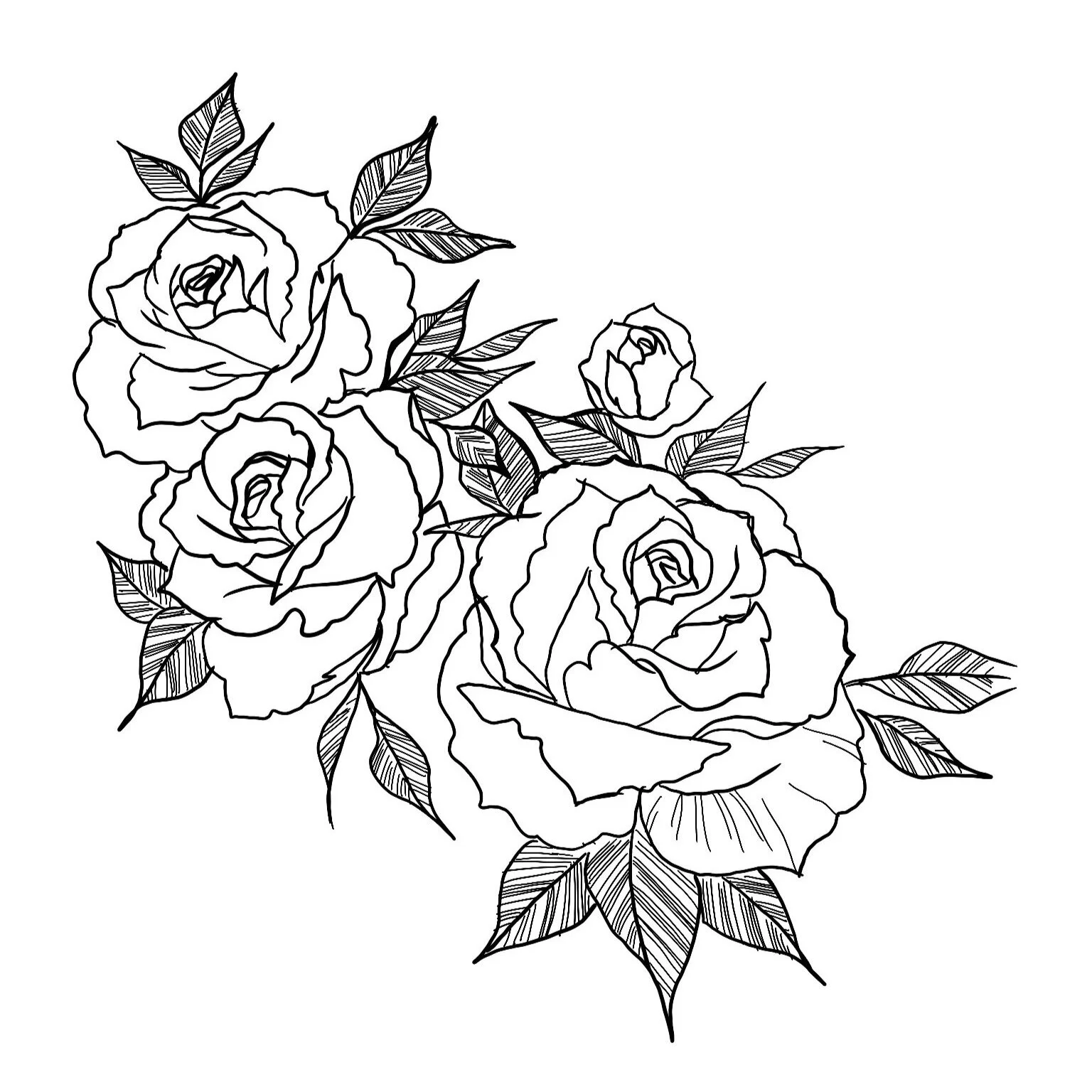 Comin' Up Roses