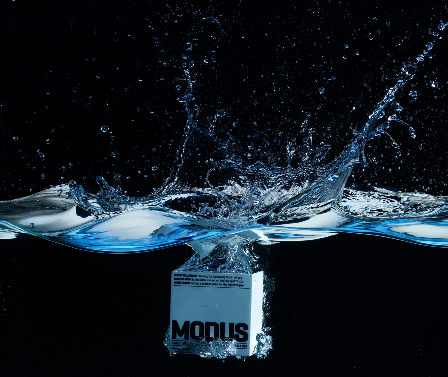 Modus for RICS — Christie Ferdinando