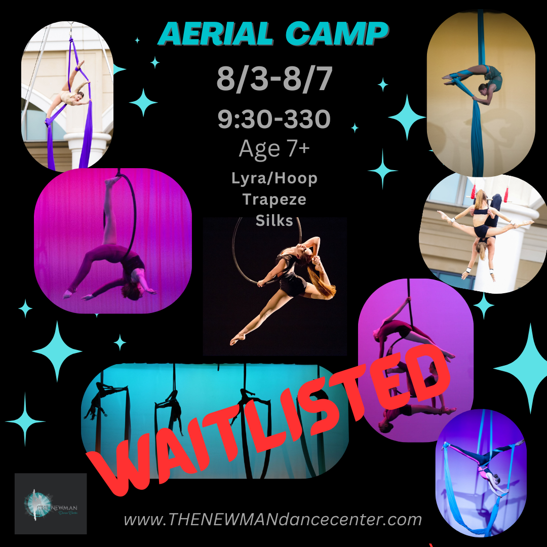 AERIAL DANCE (1).png