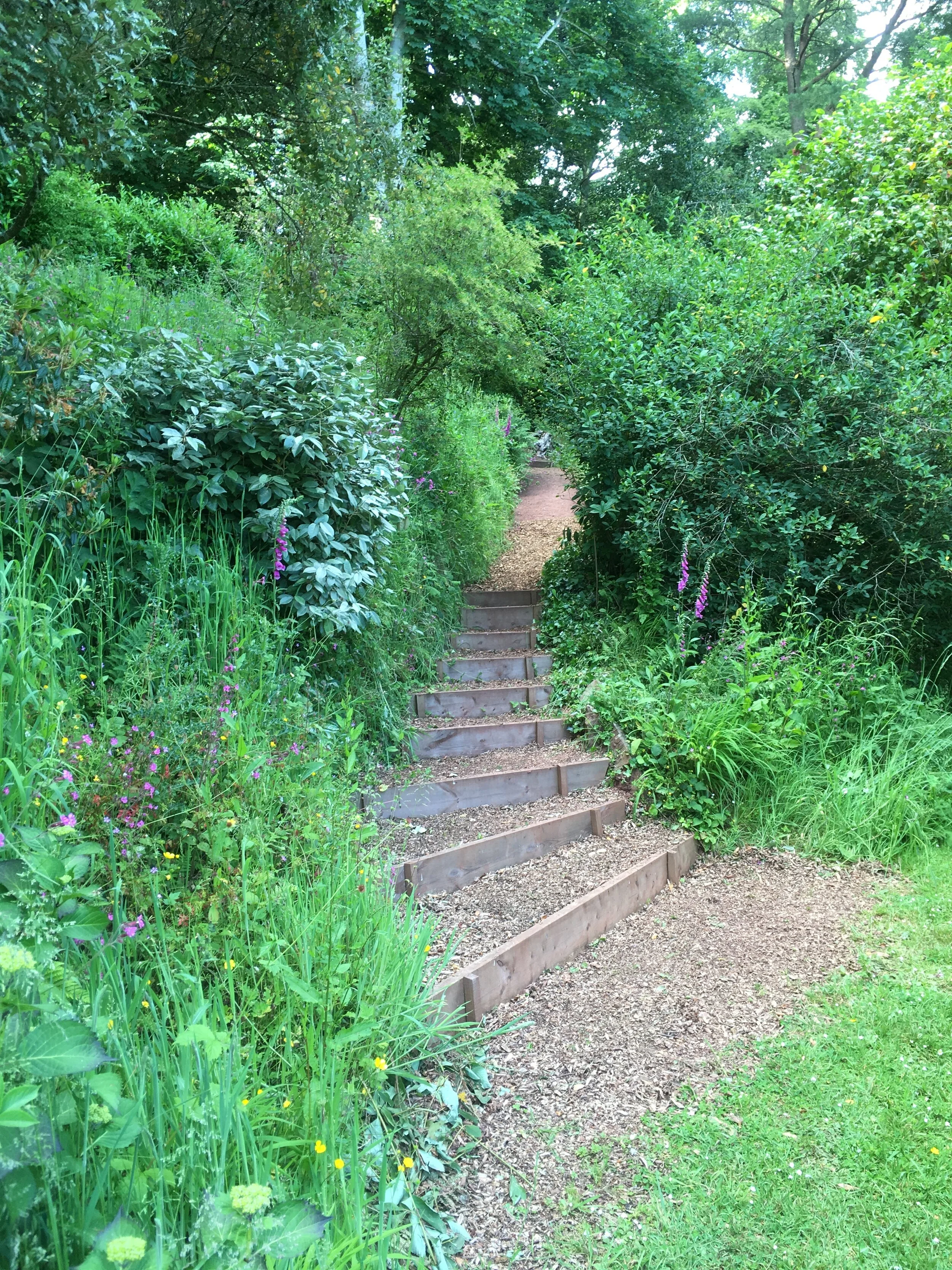 The long and winding path to here