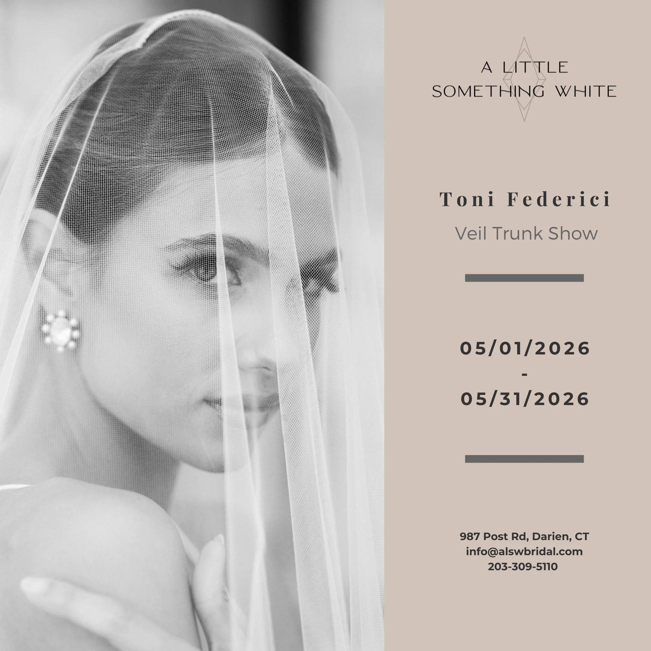 Toni Federici Veil Trunk Show.jpg