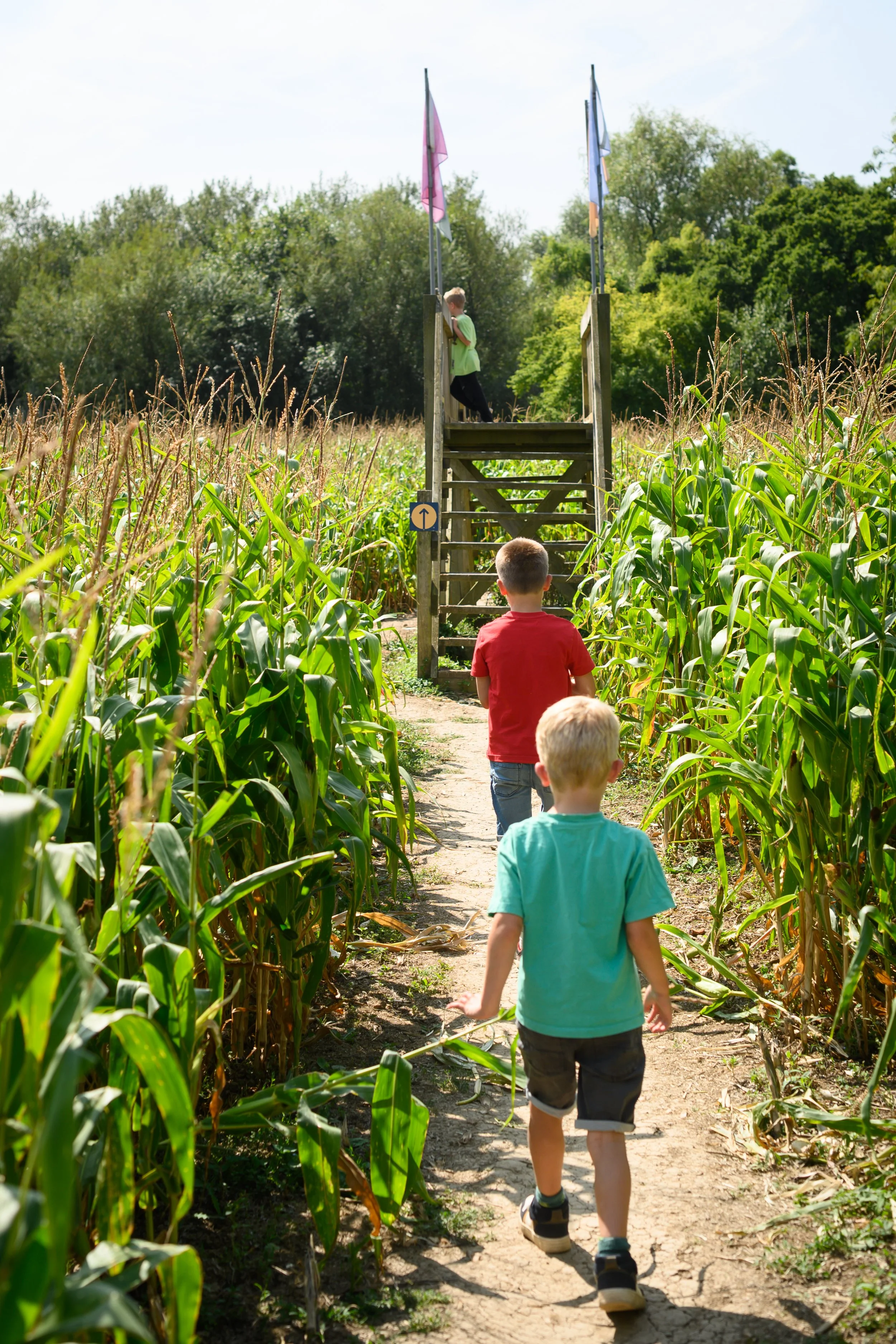 2 children running through Maize Maze