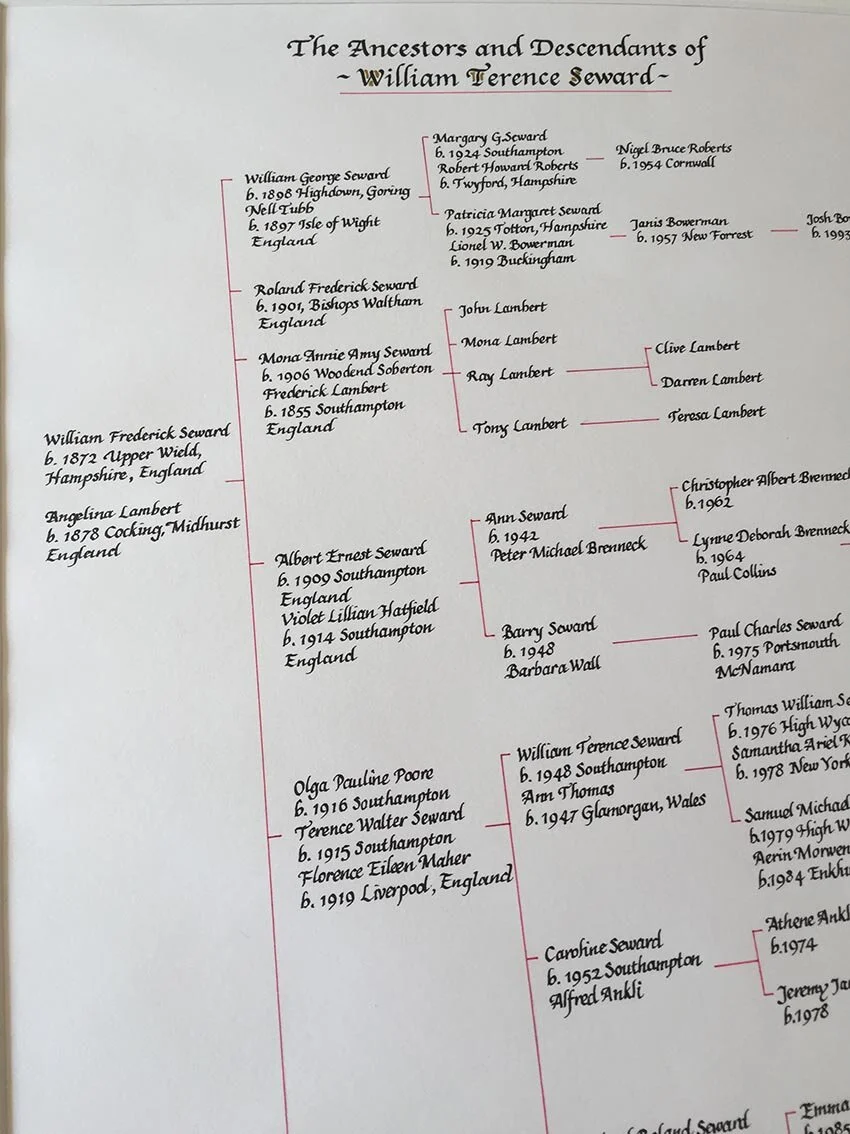 Calligraphy familty tree ancestry