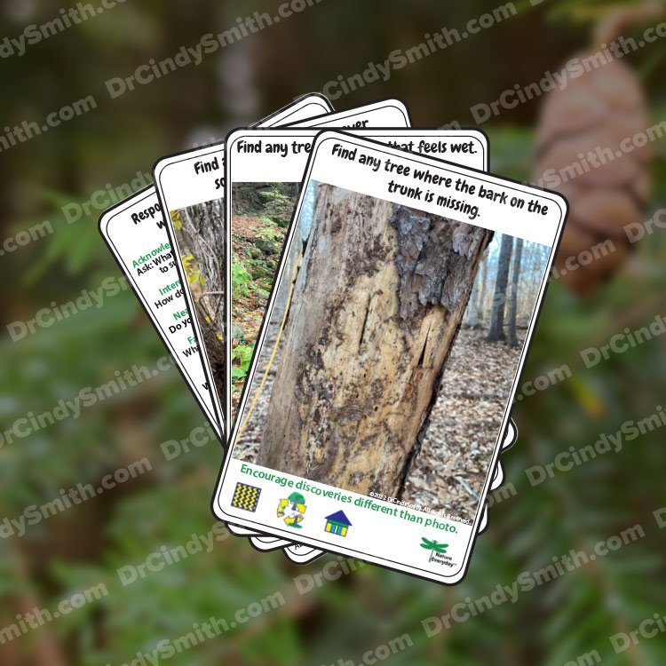 Website-Images-Tree-Textures.jpg