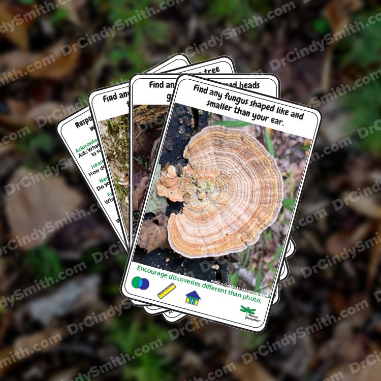 Website-Images-Walk-in-the-Woods.jpg