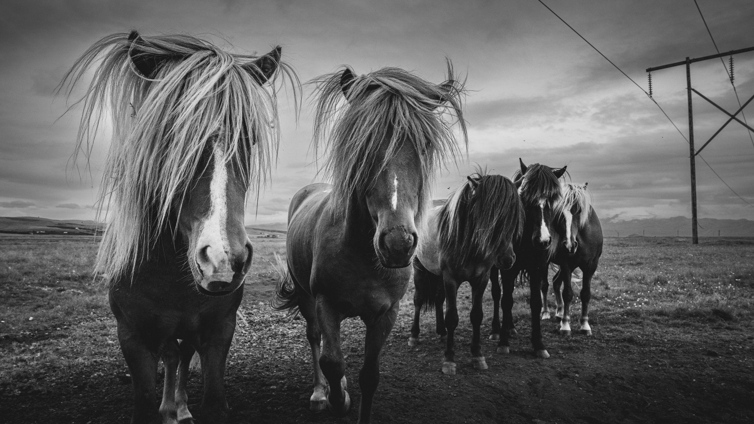 R5_06891_BW_D6-8-11_Route26-small.jpg