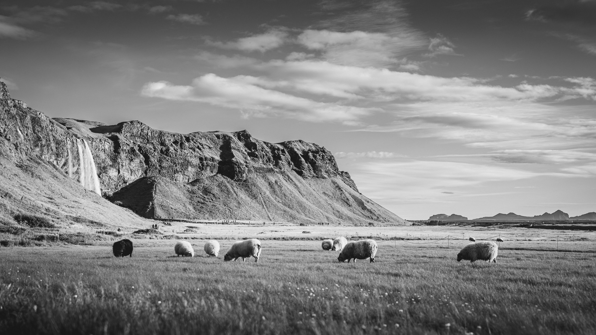 R5_05436_BW_D3-8-8_Route1_Seljalandsfoss-small.jpg