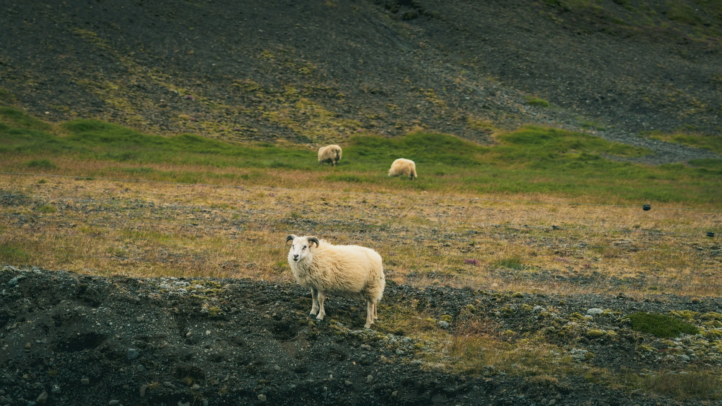 R5_08231_D8-8-13_Route50-small.jpg