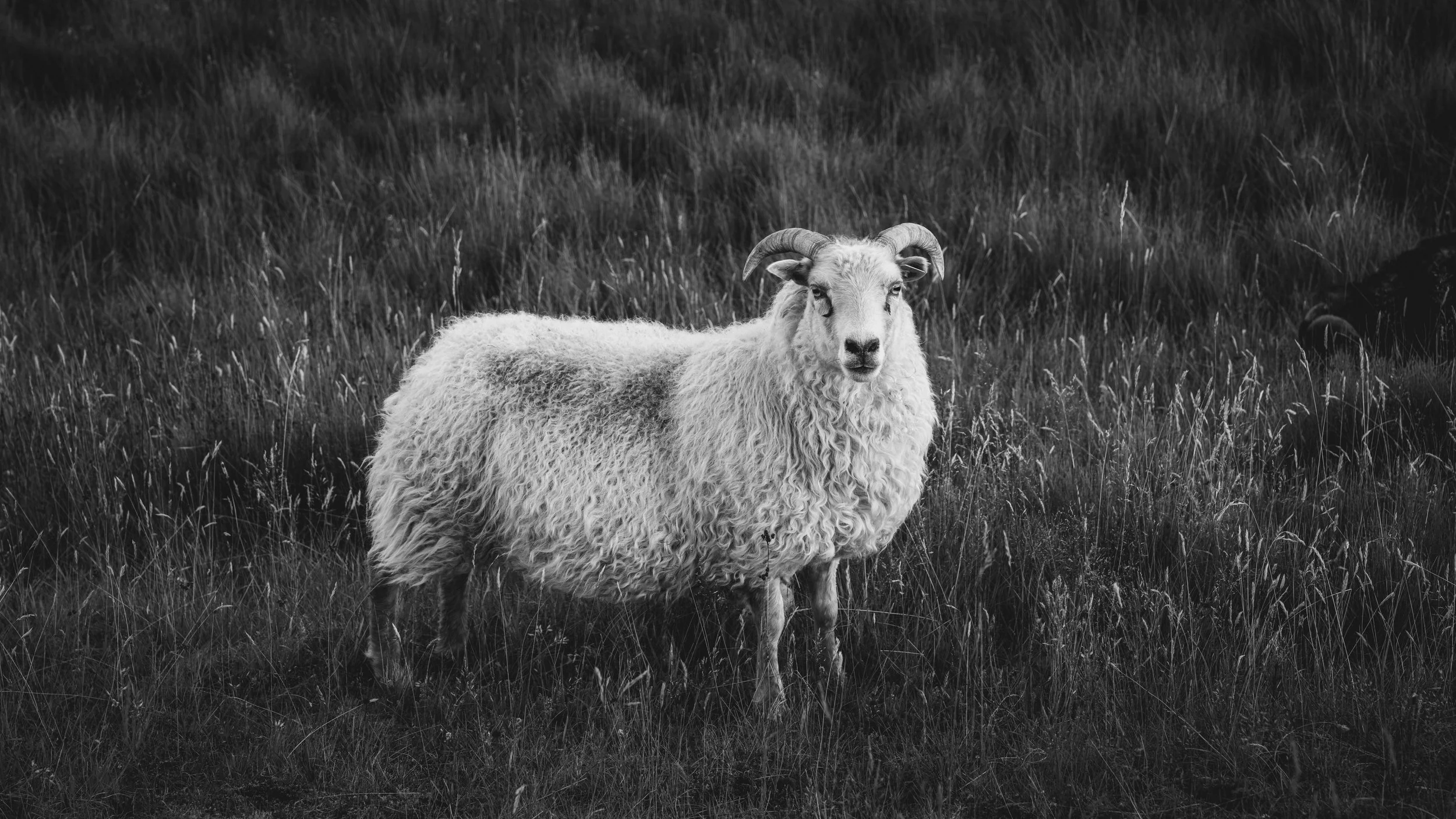 R5_06557_BW_D5-8-10_Route1-small.jpg