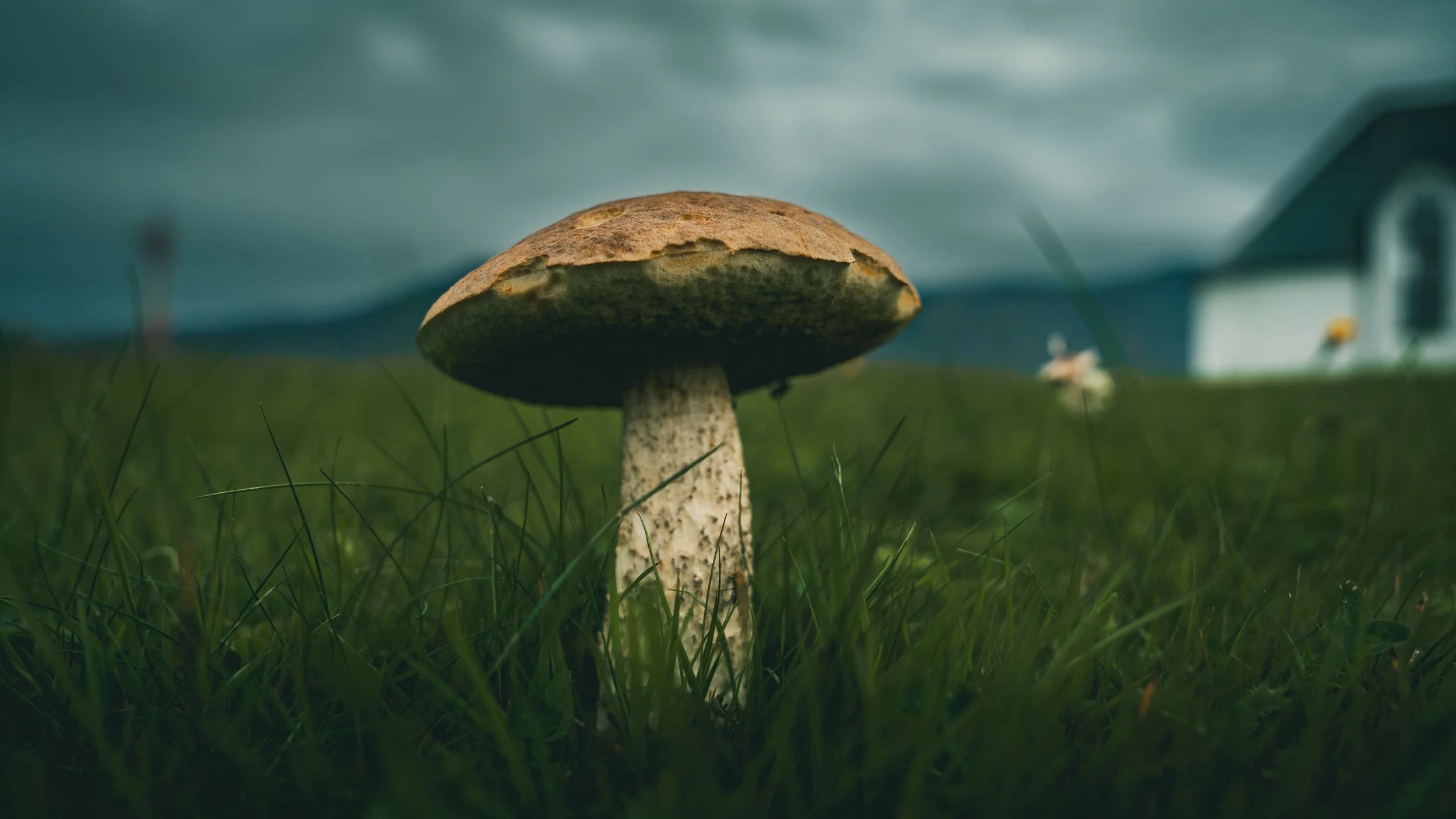 R5_08107_D8-8-13_Borgarneskirkja-small.jpg