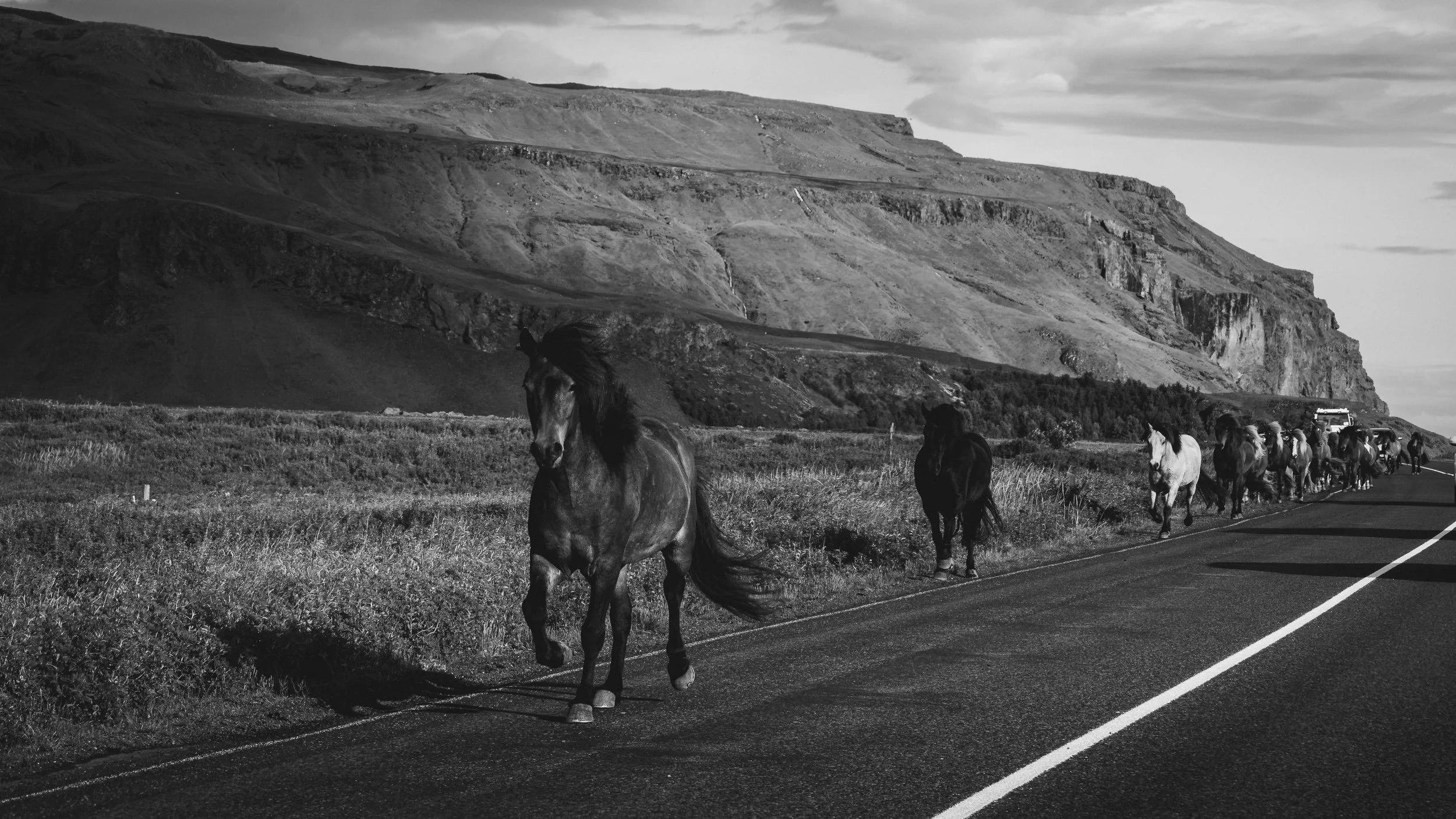 R5_05377_BW_D3-8-8_Route1_Seljalandsfoss-small.jpg
