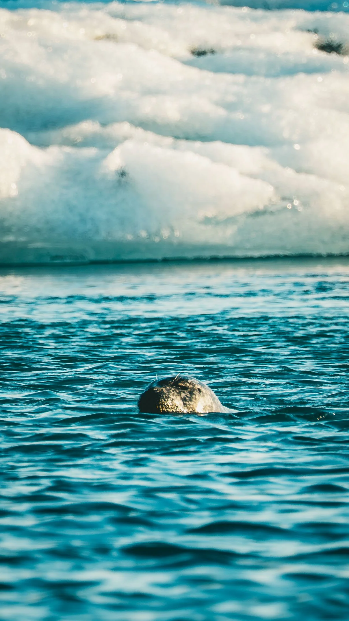 R5_06512_D5-8-10_JökulsárlónGlacierLagoon-small.jpg