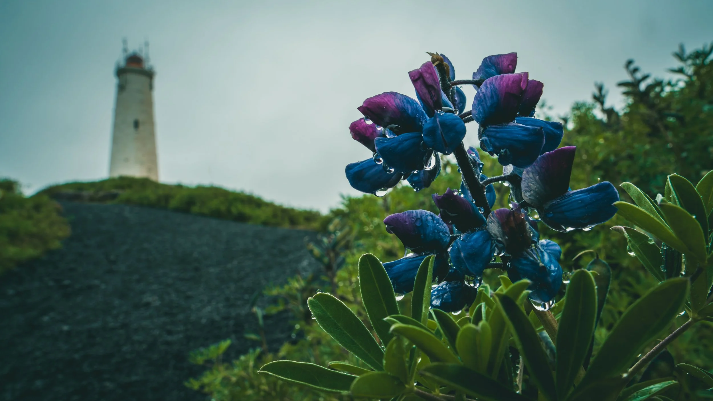 R5_04788_D1-8-6_Reykjanes_Lighthouse-small.jpg