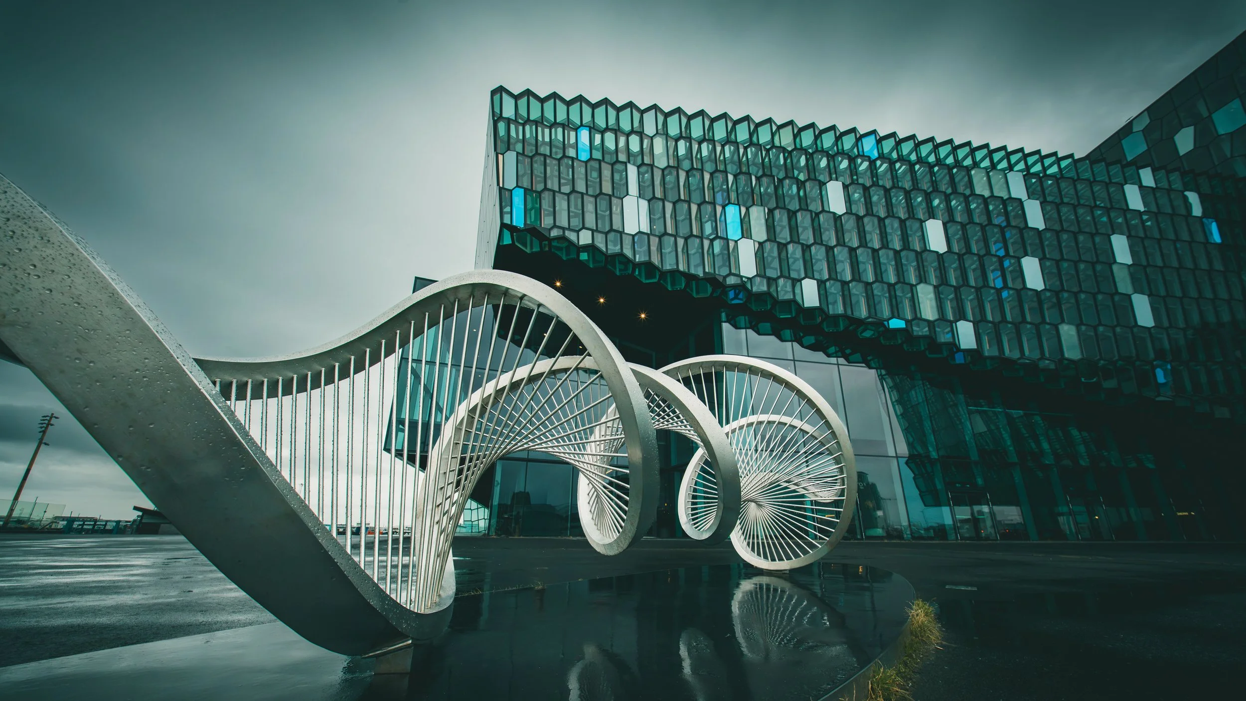 R5_04882_D2-8-7_ Reykjavík-Harpa-small.jpg