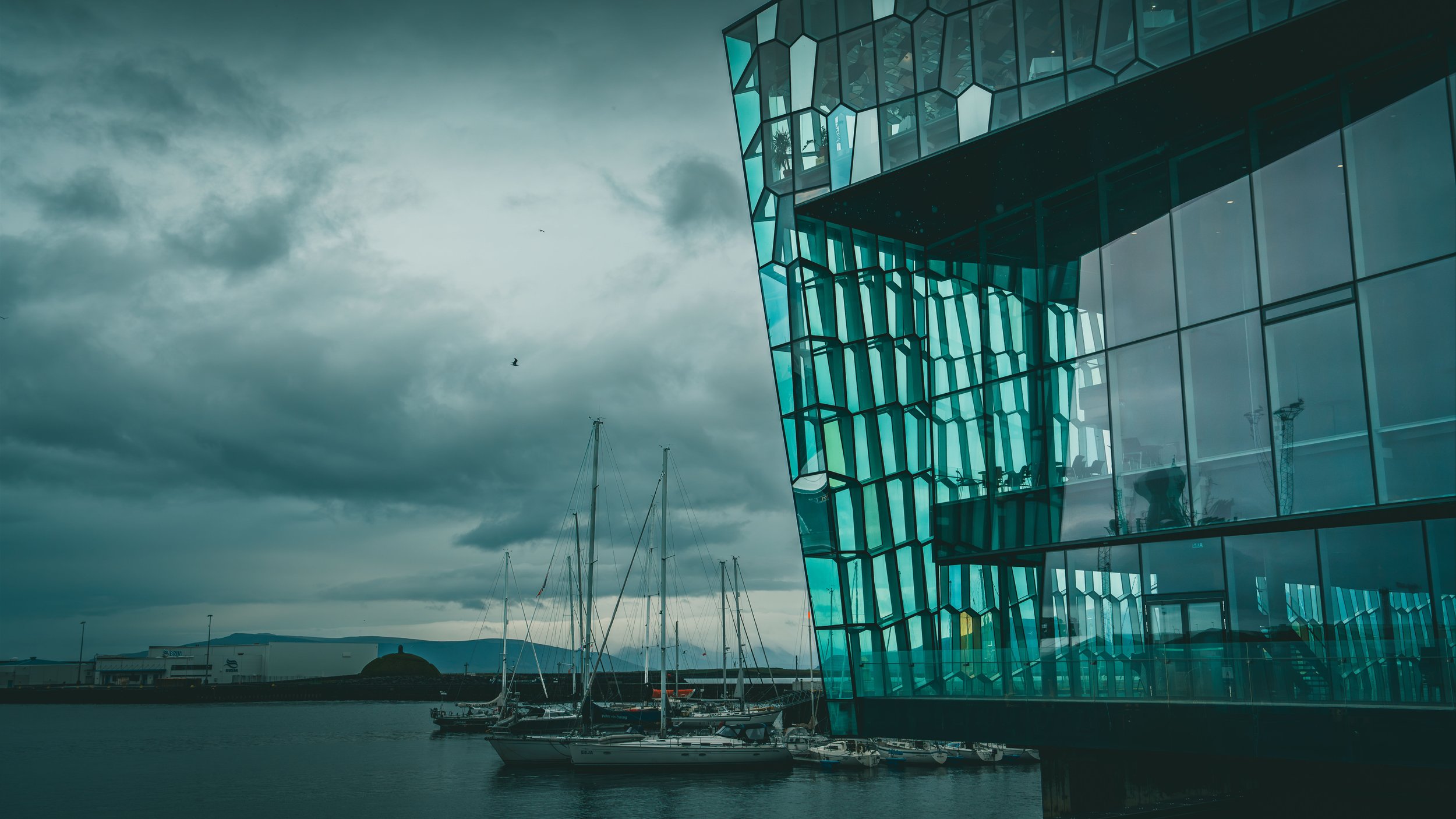 R5_04921_D2-8-7_ Reykjavík-Harpa-small.jpg