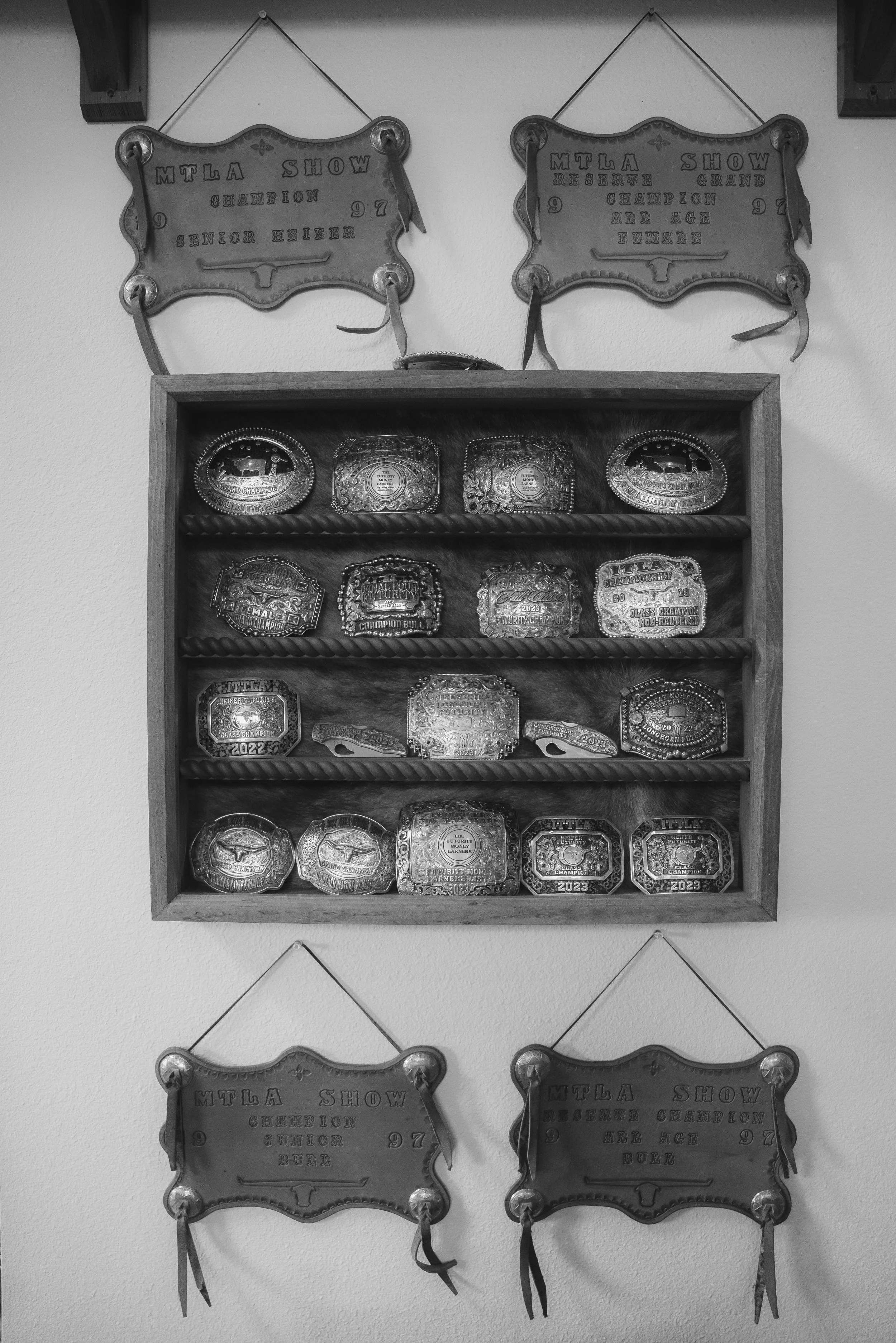 R3_06867BW.JPG