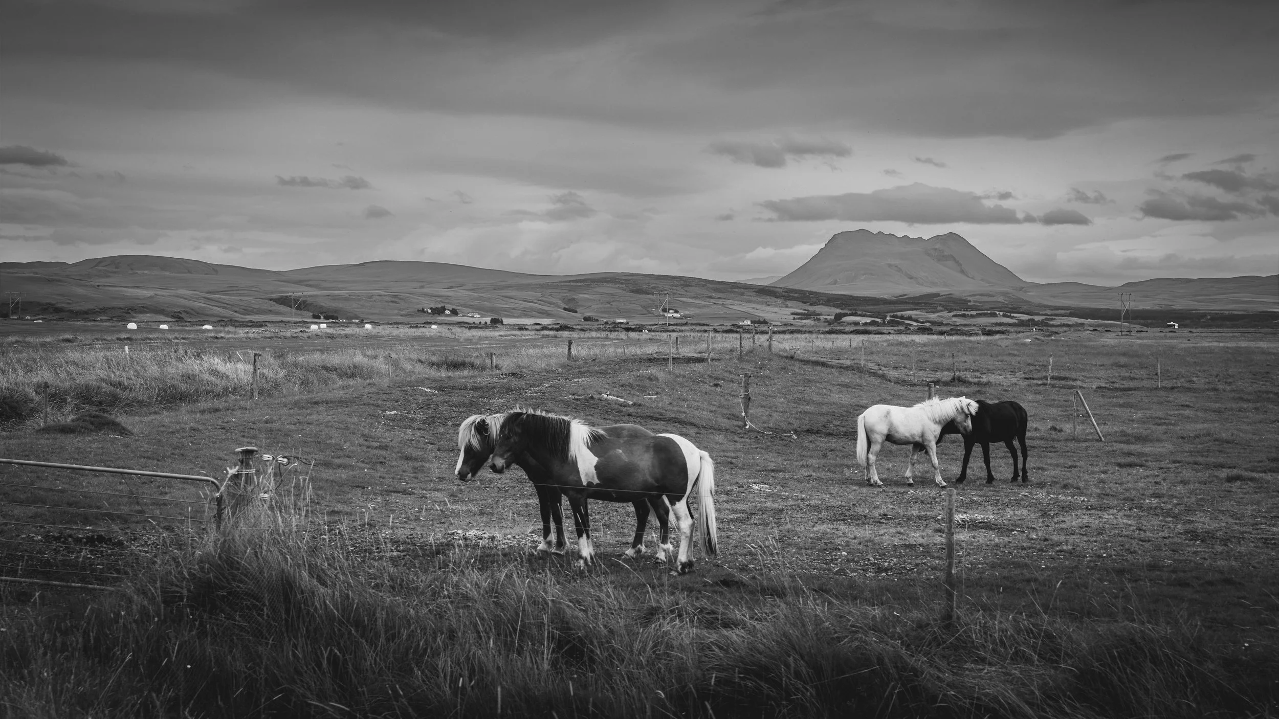 R5_06880_BW_D6-8-11_Route26-small.jpg