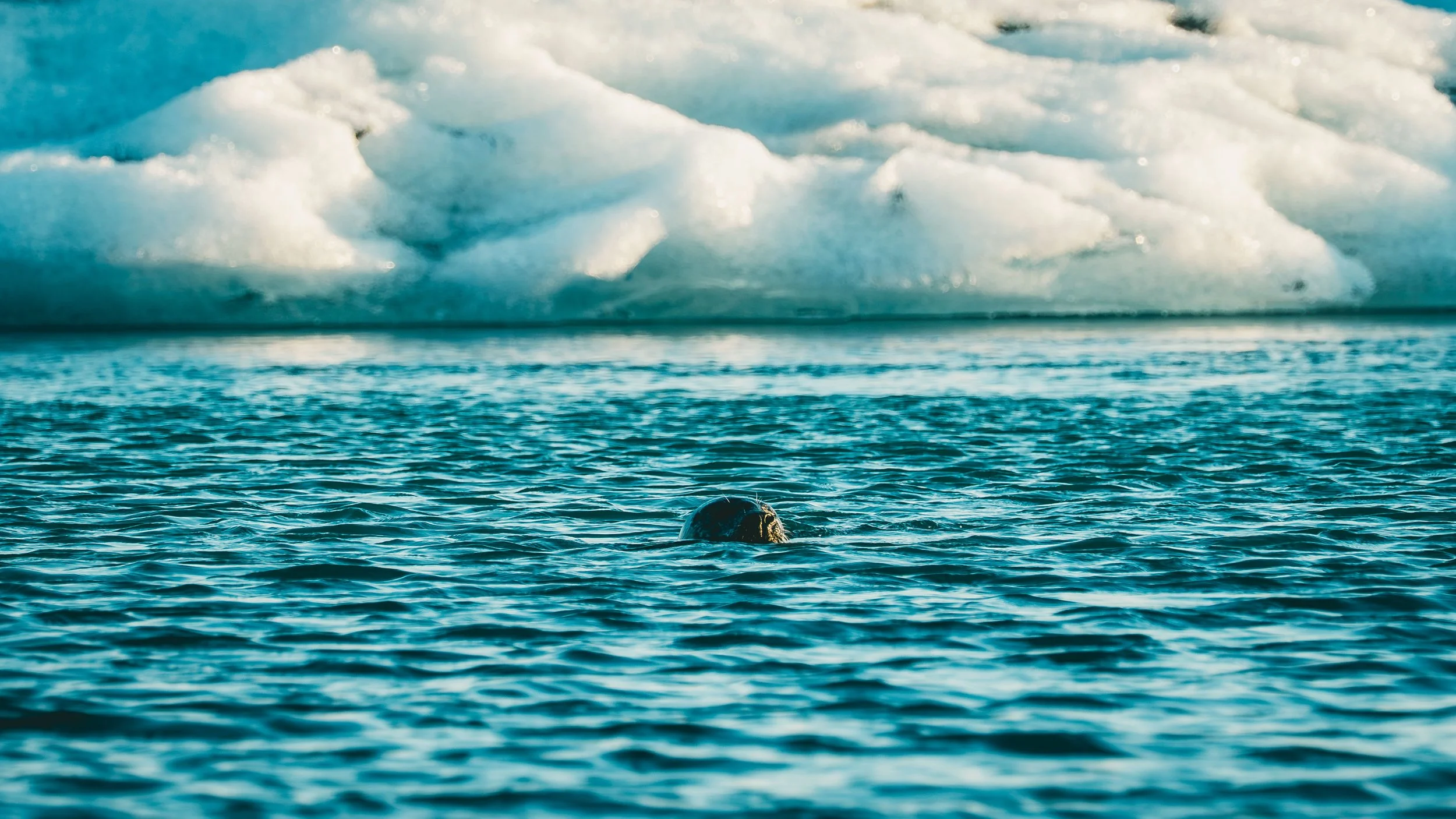 R5_06513_D5-8-10_JökulsárlónGlacierLagoon-small.jpg